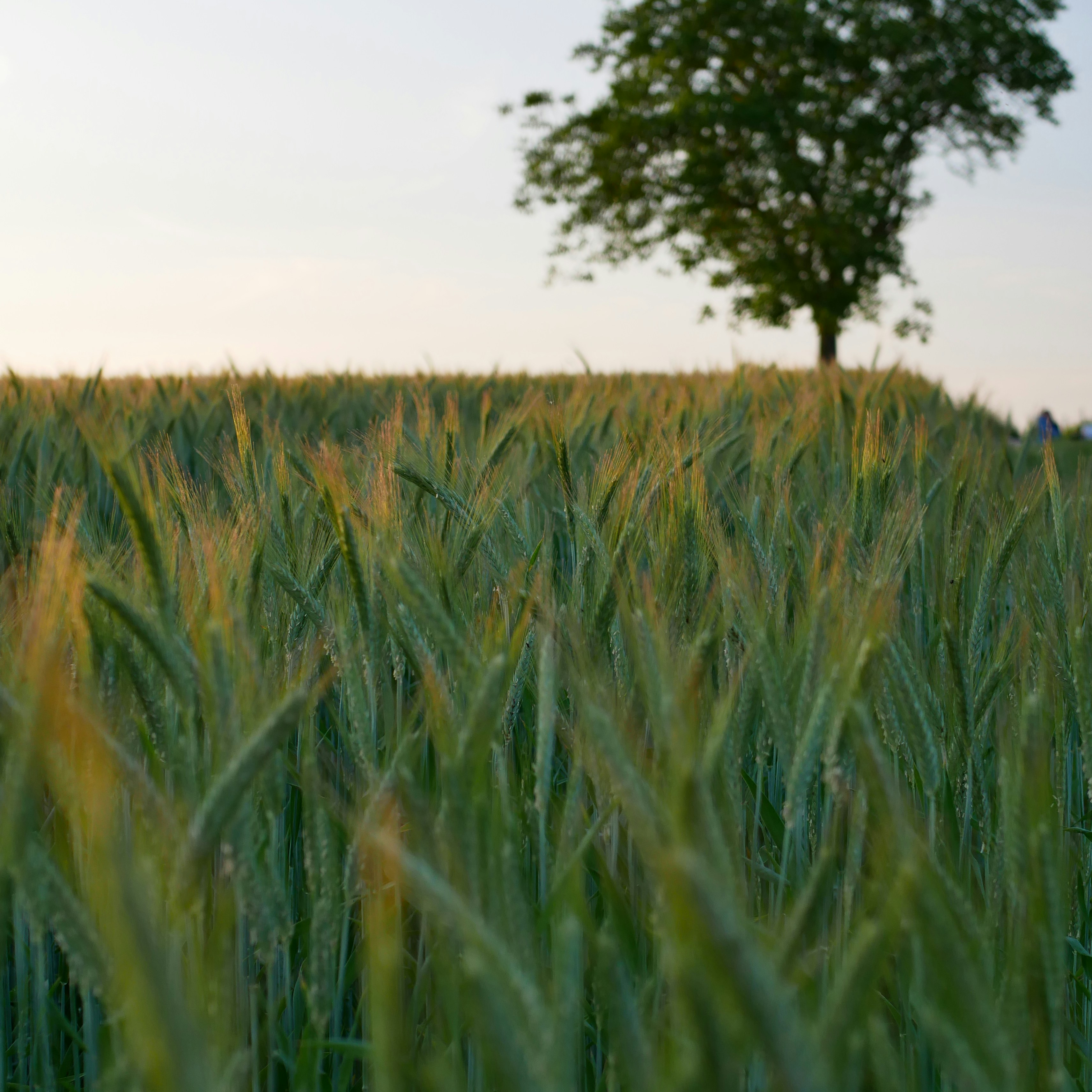 Photo by vmdpictures