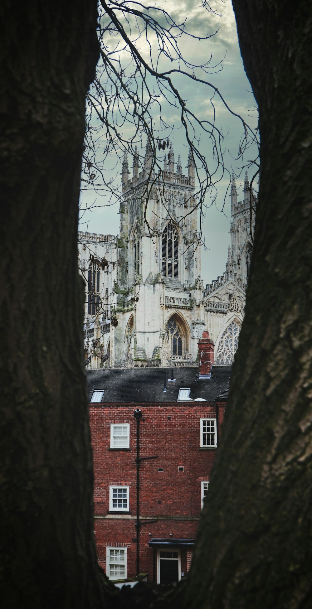 Blick auf ein Gebäude durch die Äste eines Baumes