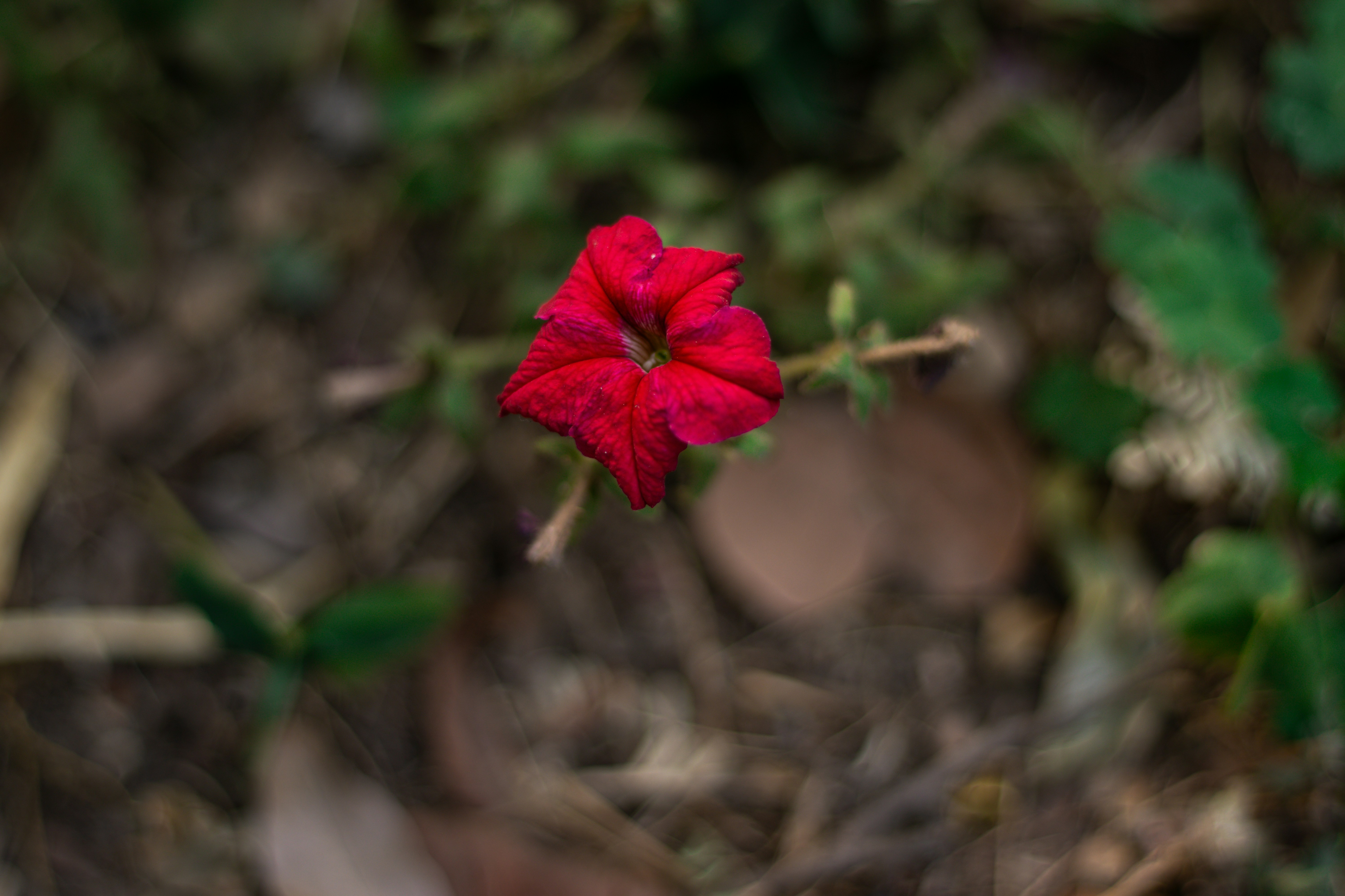 Photo by akshat_jhingran