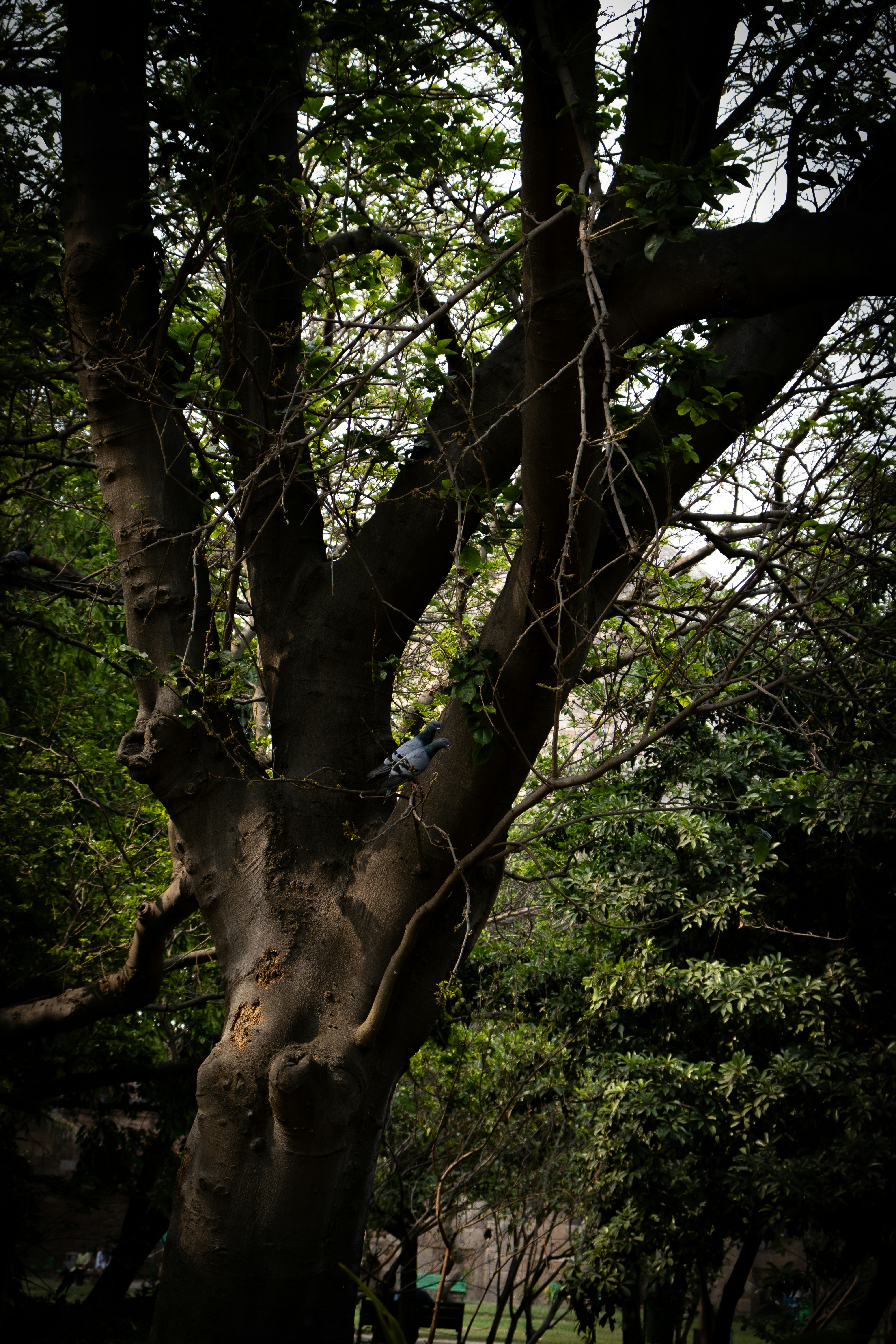 Photo by akshat_jhingran