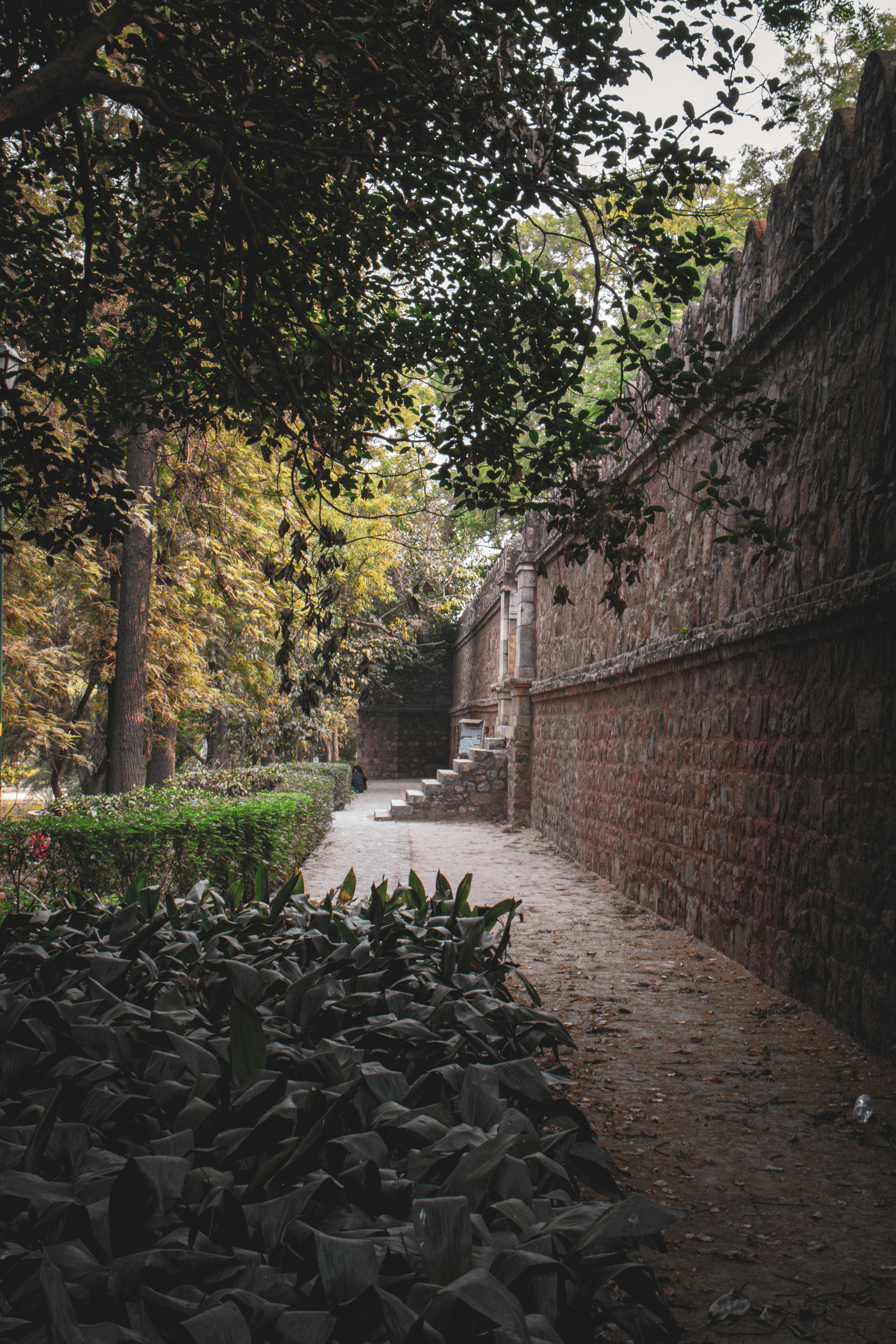 Photo by akshat_jhingran