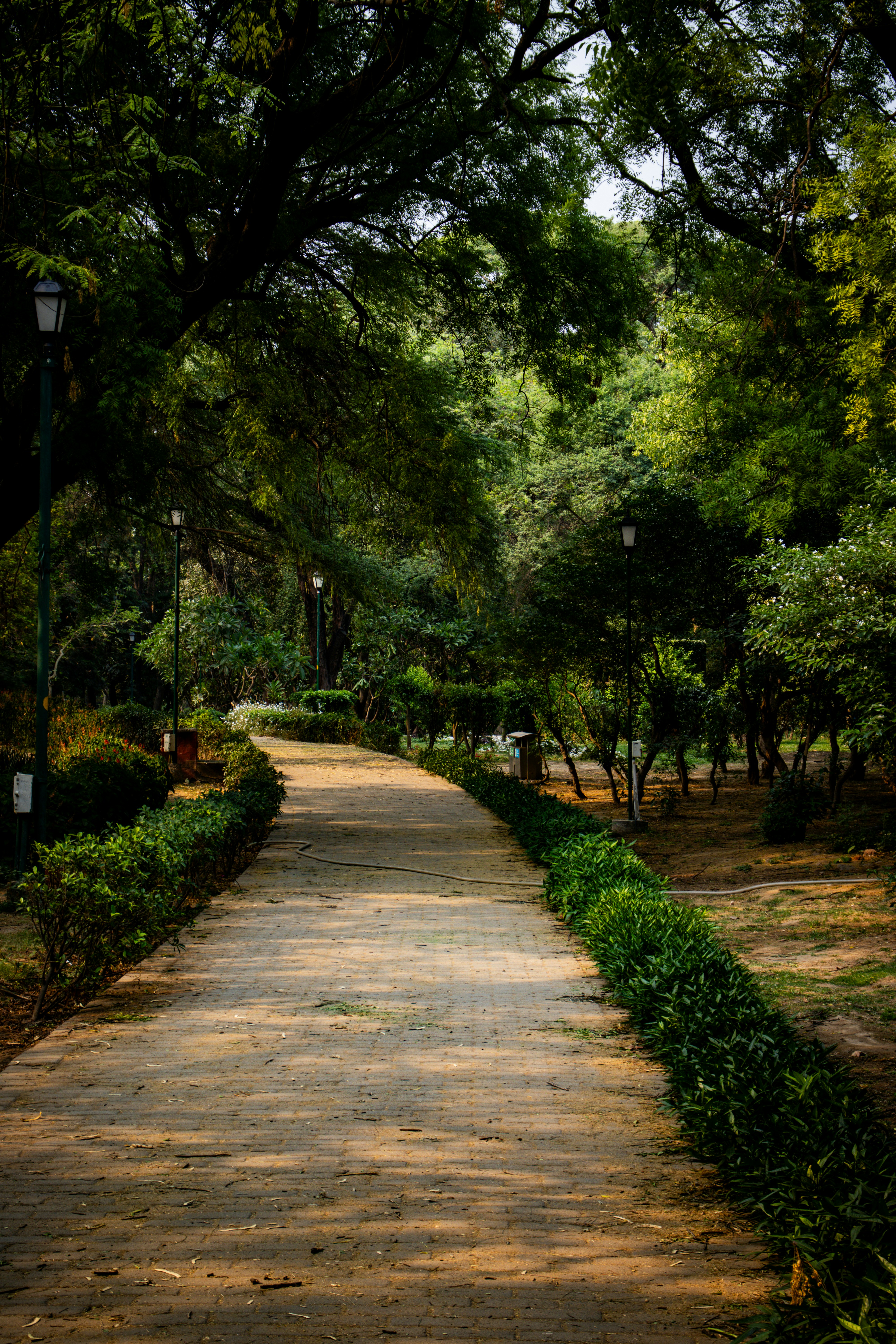 Photo by akshat_jhingran