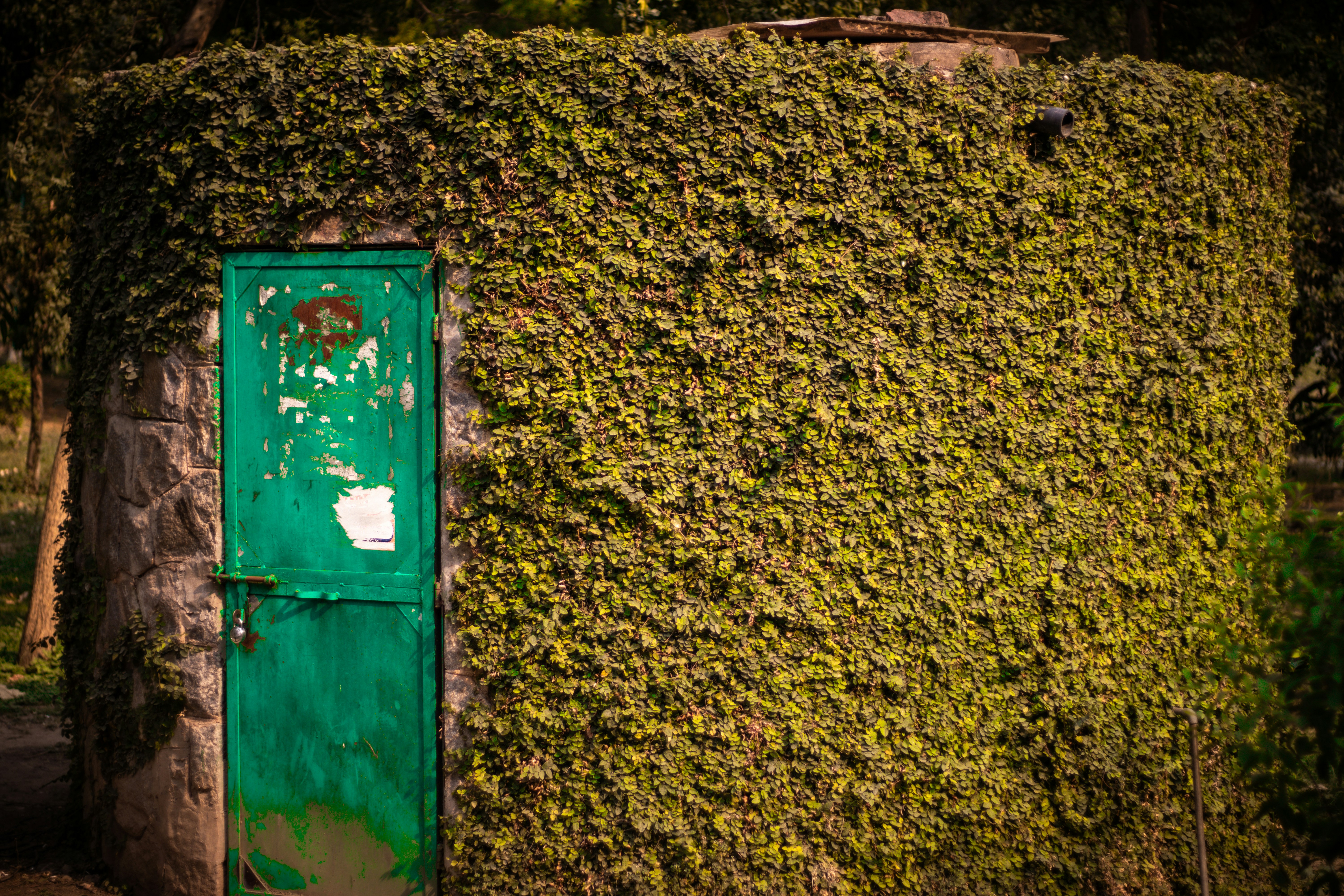 Photo by akshat_jhingran