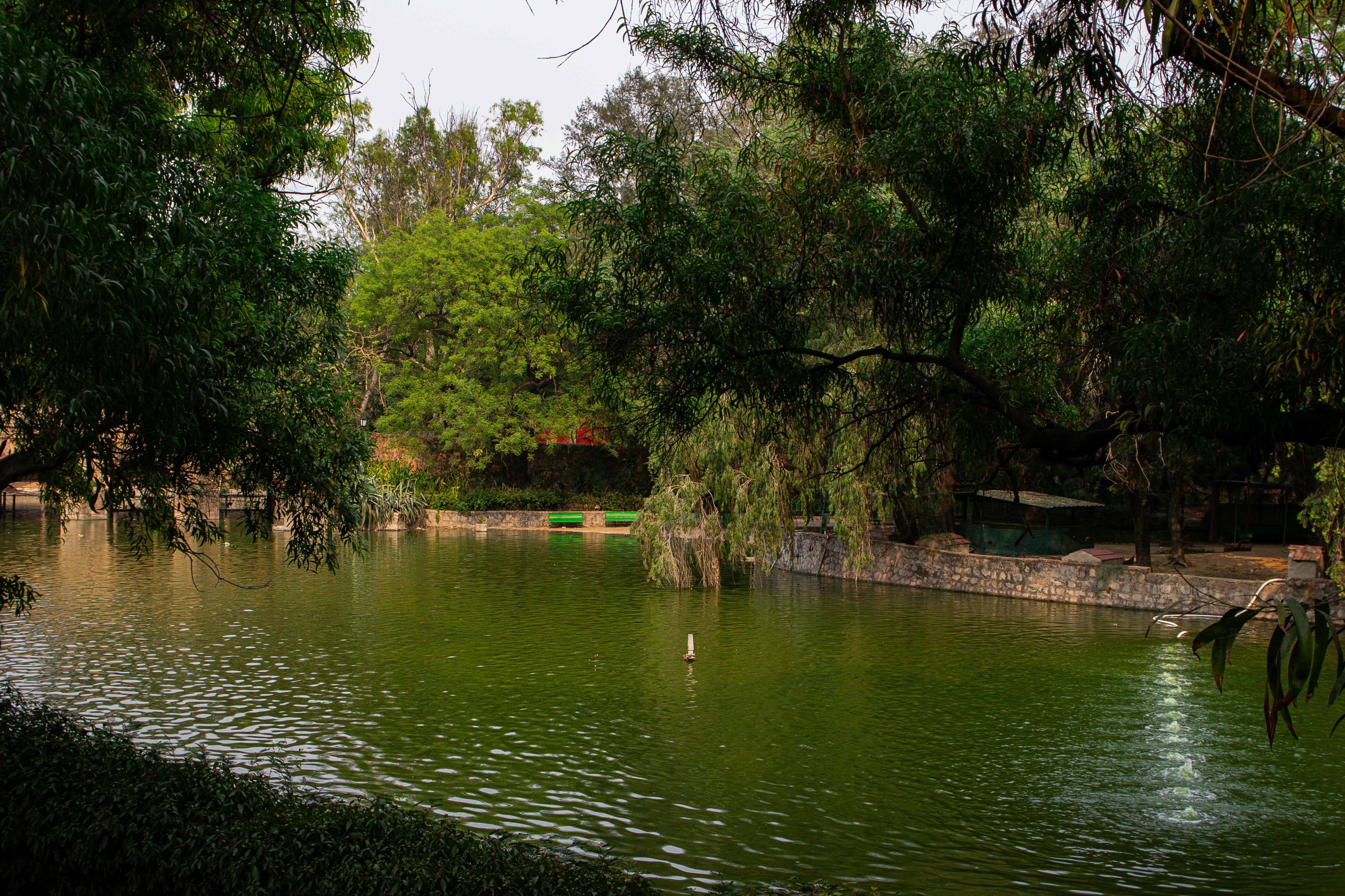 Photo by akshat_jhingran