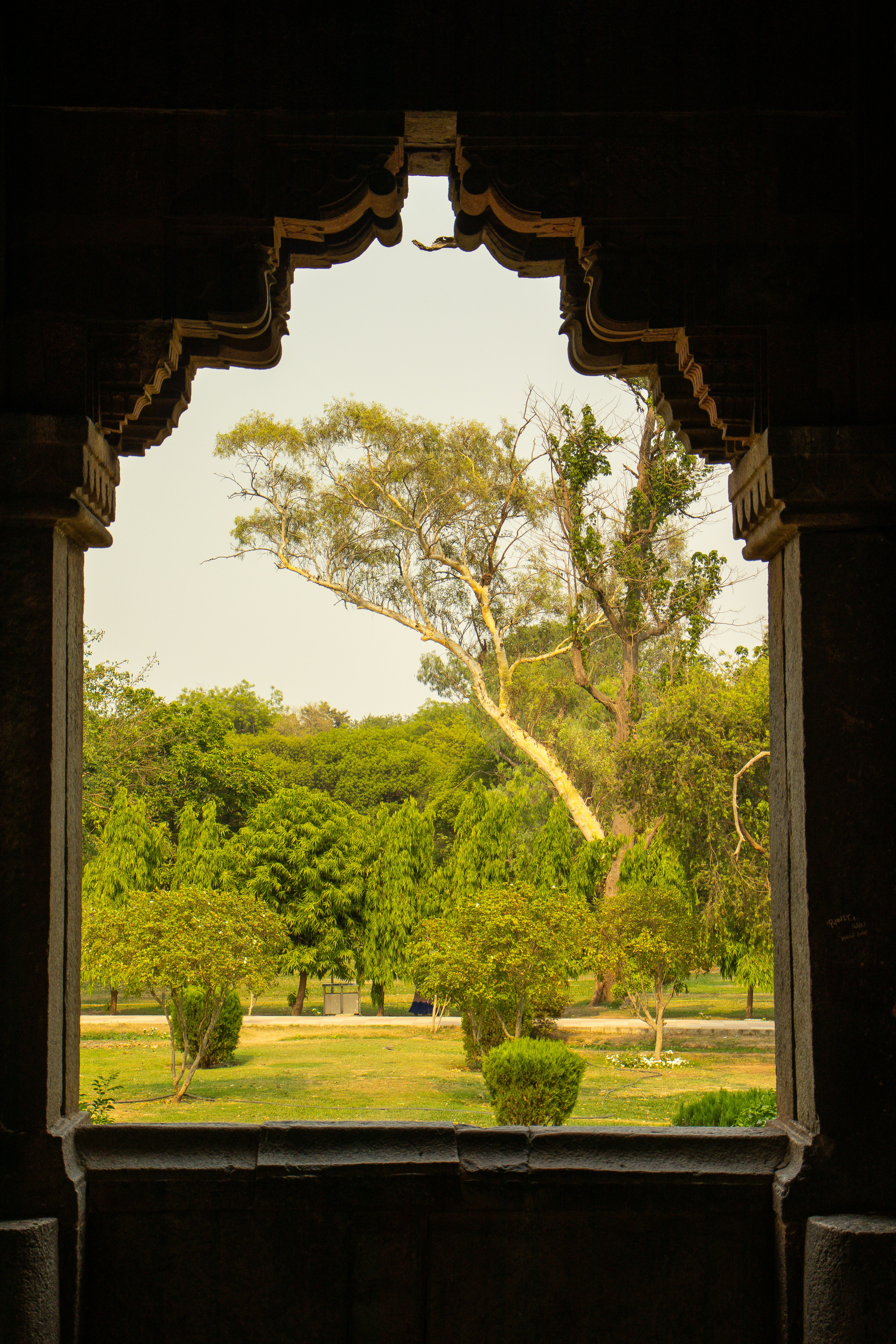 a view of a park through a window