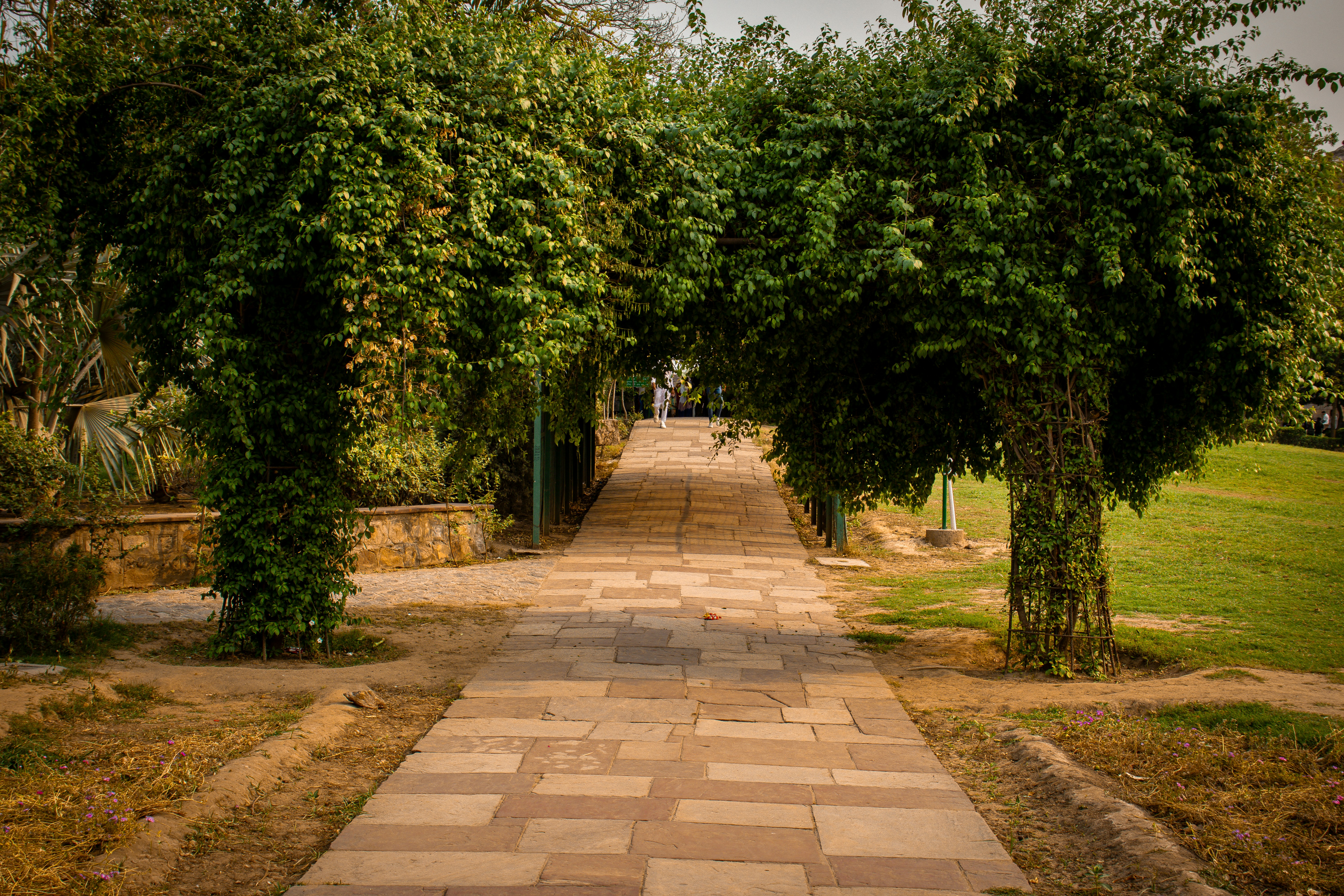 Photo by akshat_jhingran