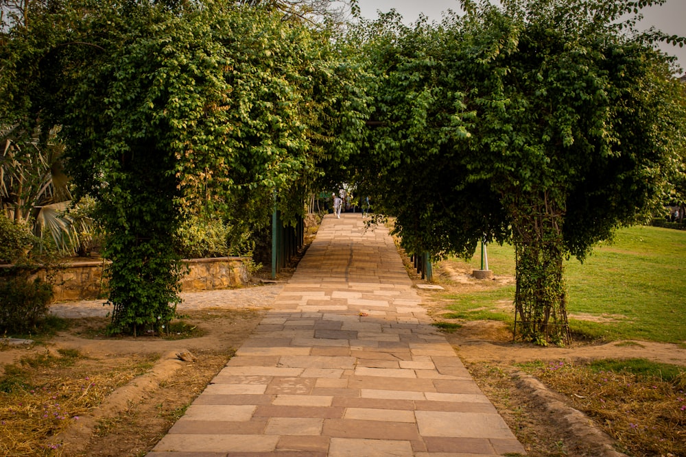 a brick walkway lined with trees on both sides