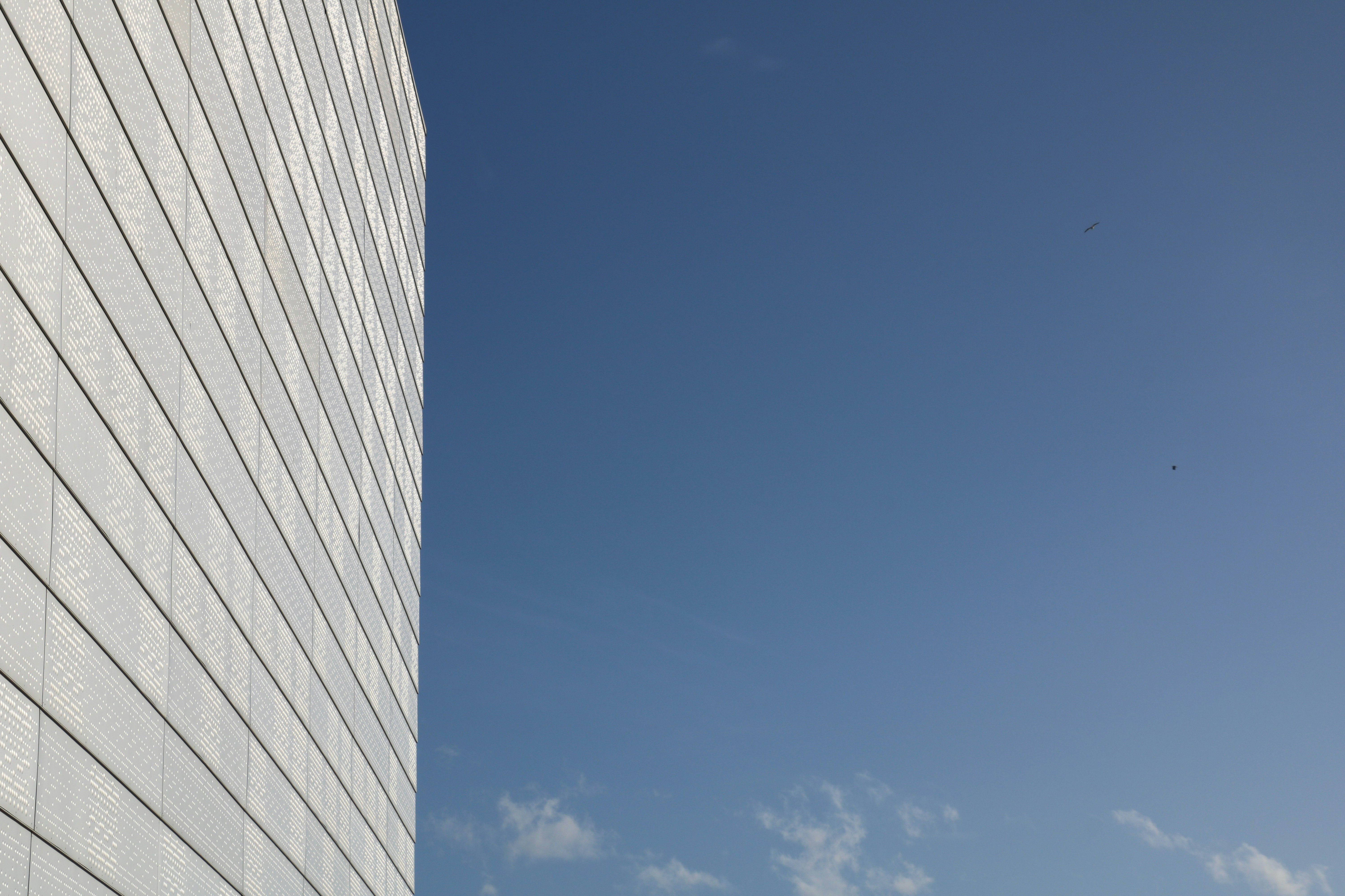 Photo by francoisfayet