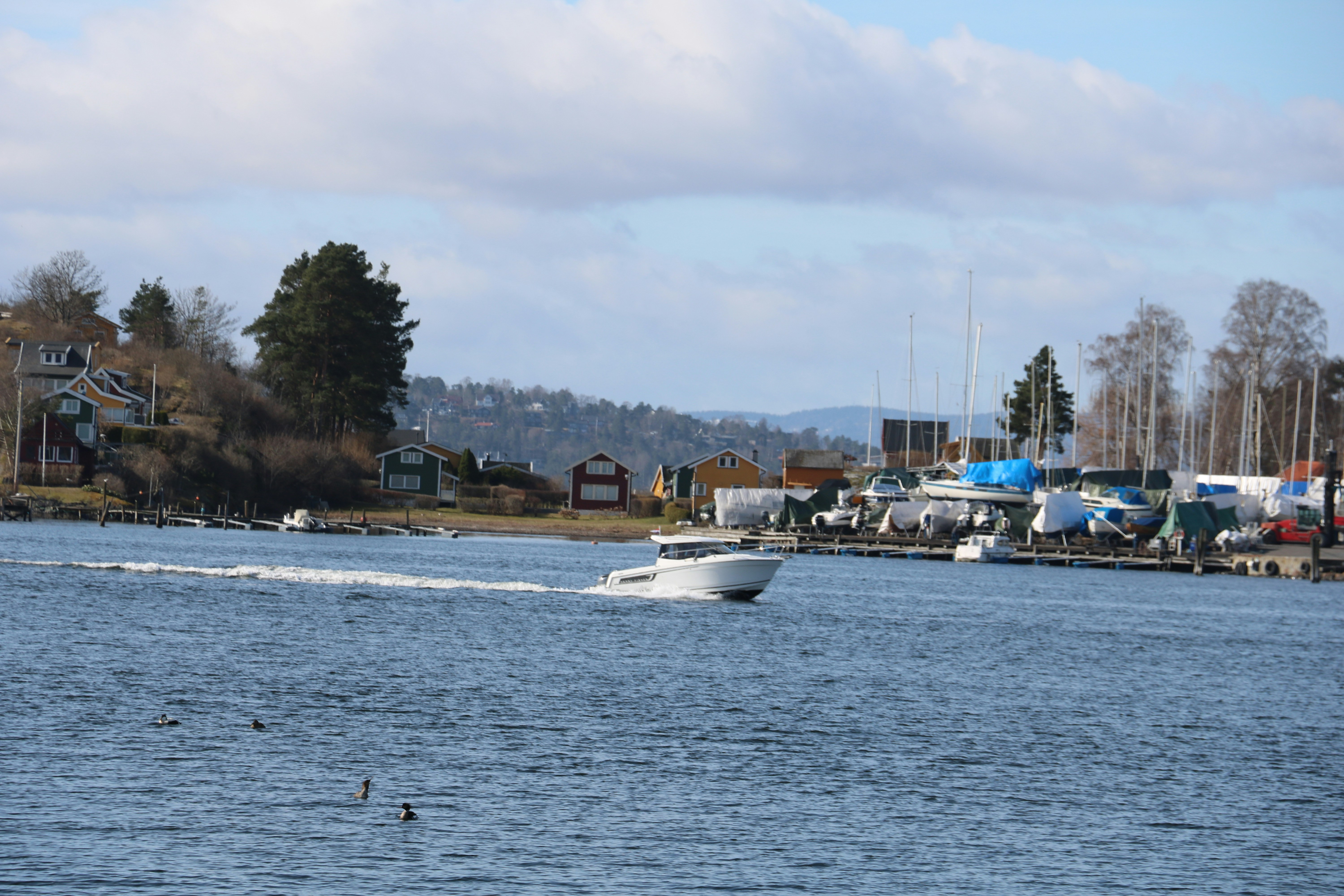 Photo by francoisfayet