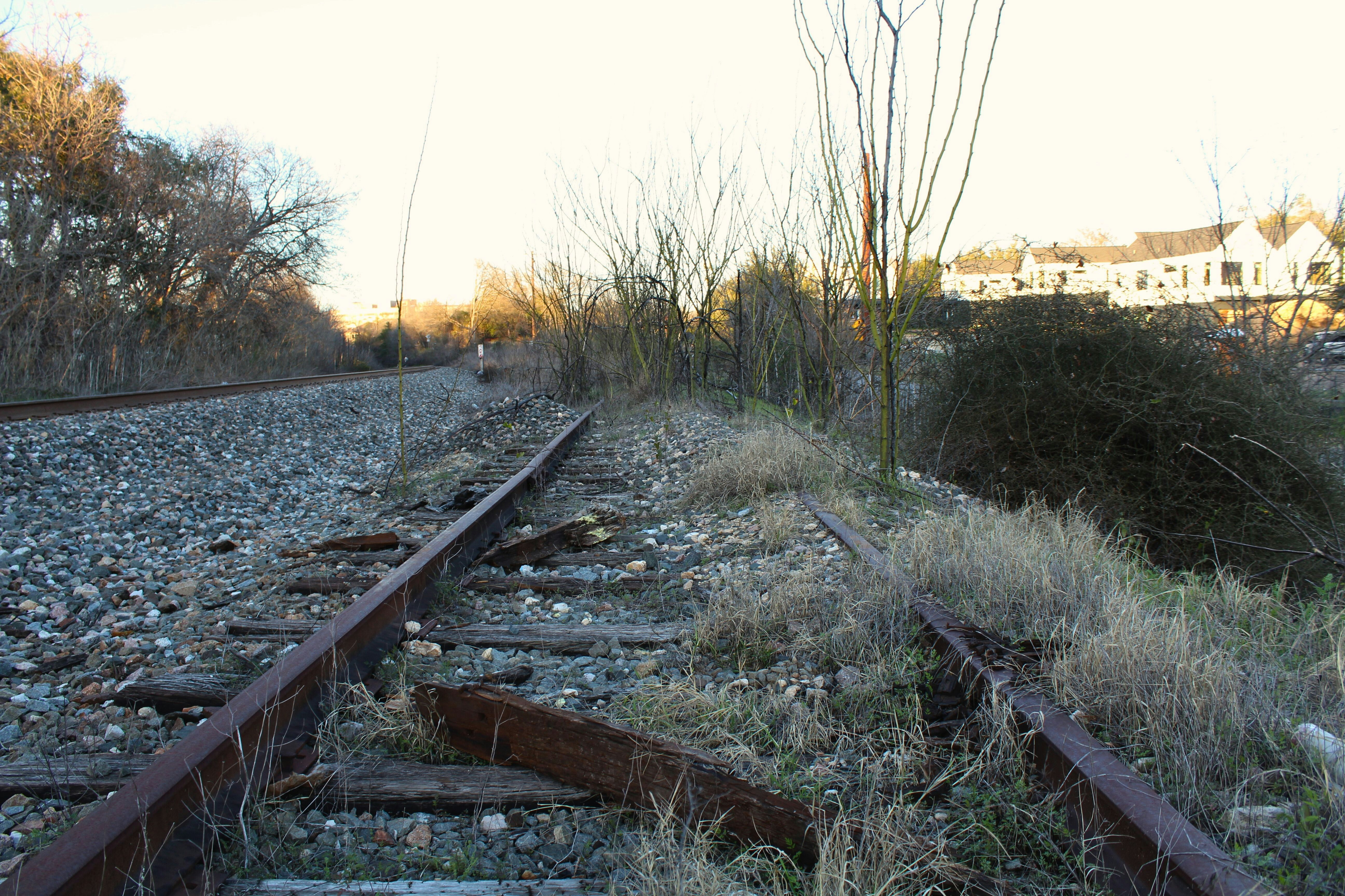 a train track with a bunch of weeds growing on it