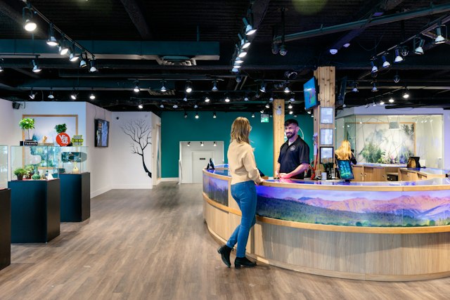 Customers at a dispensary counter