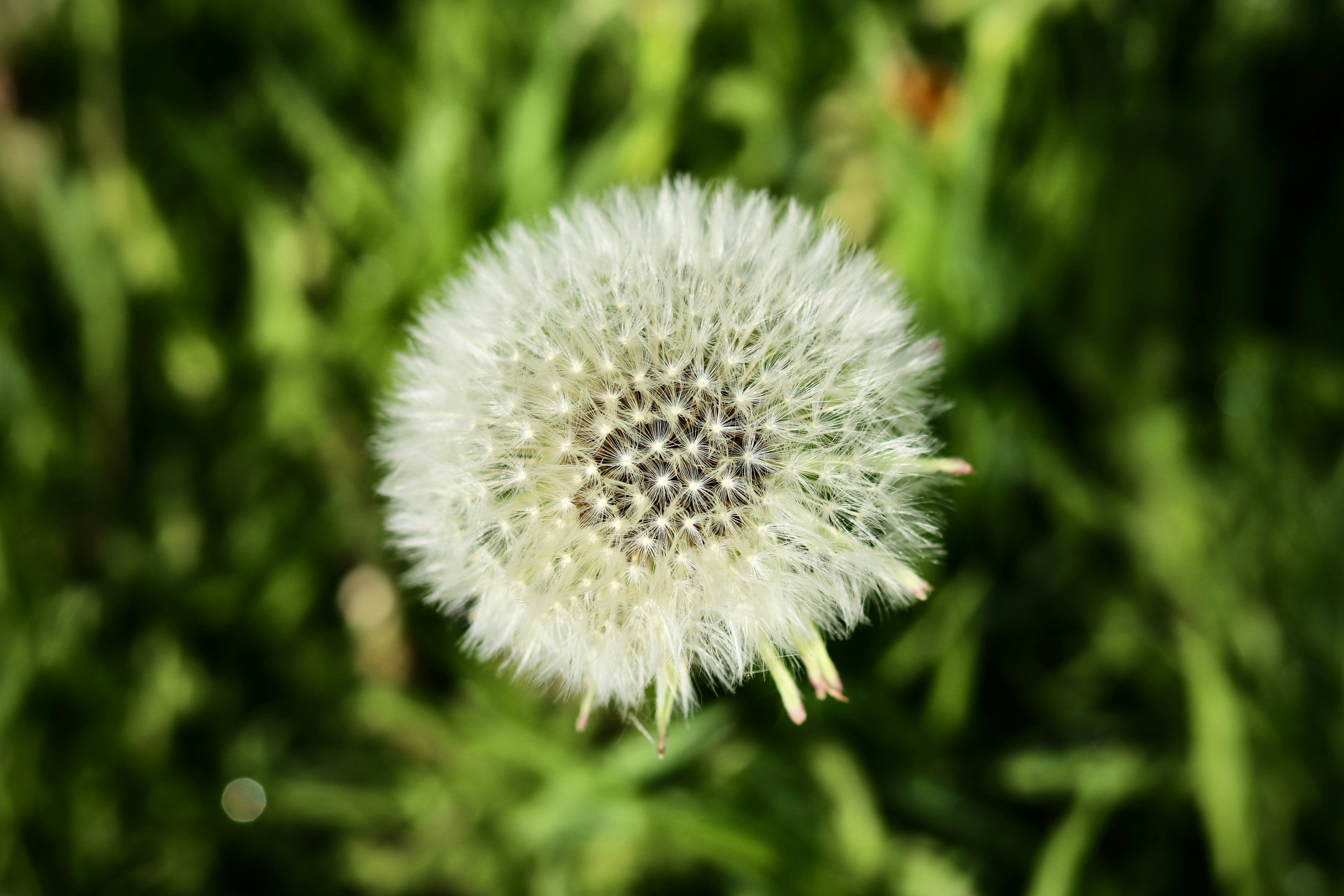 Photo by beyond_thehorizons