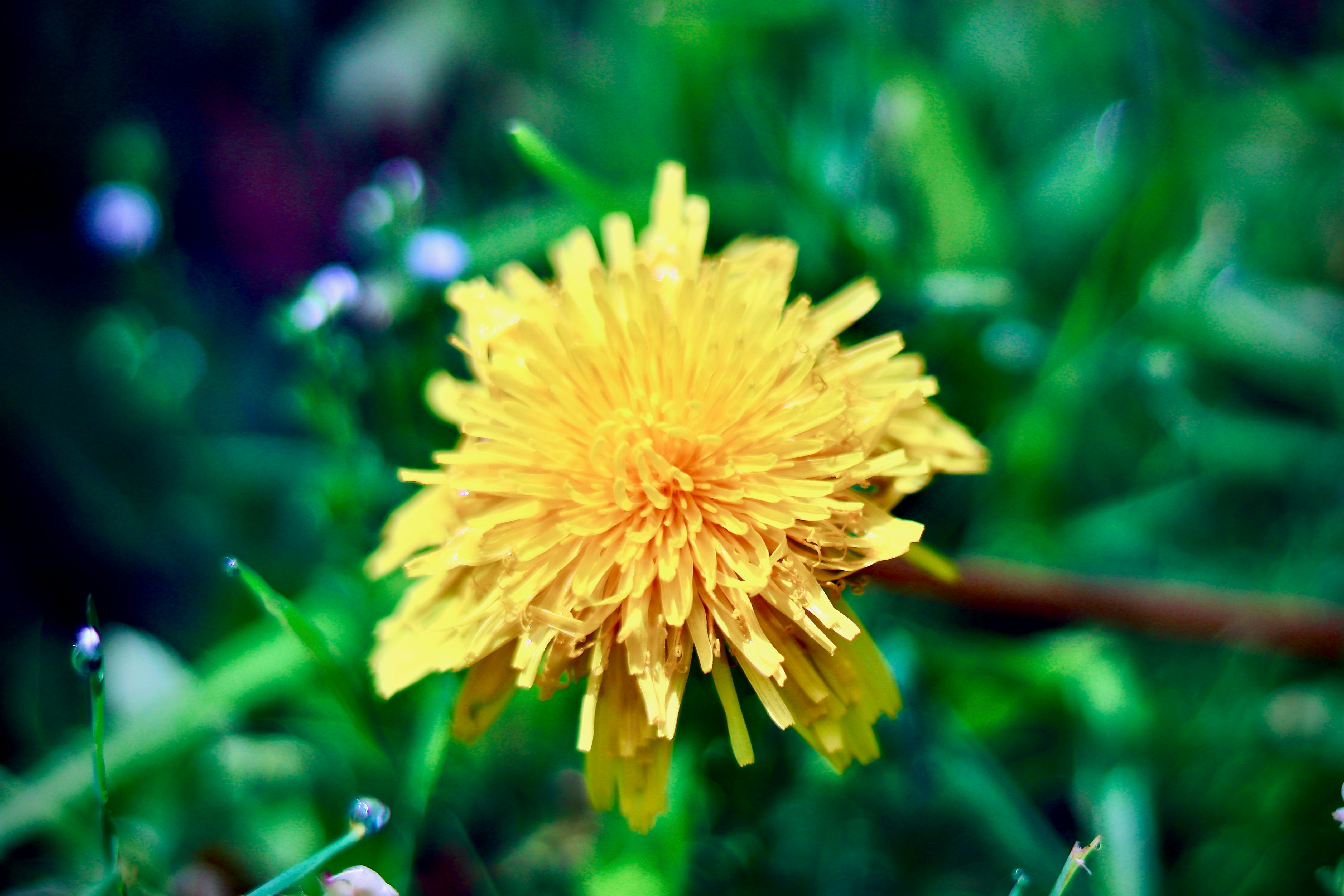 Photo by beyond_thehorizons