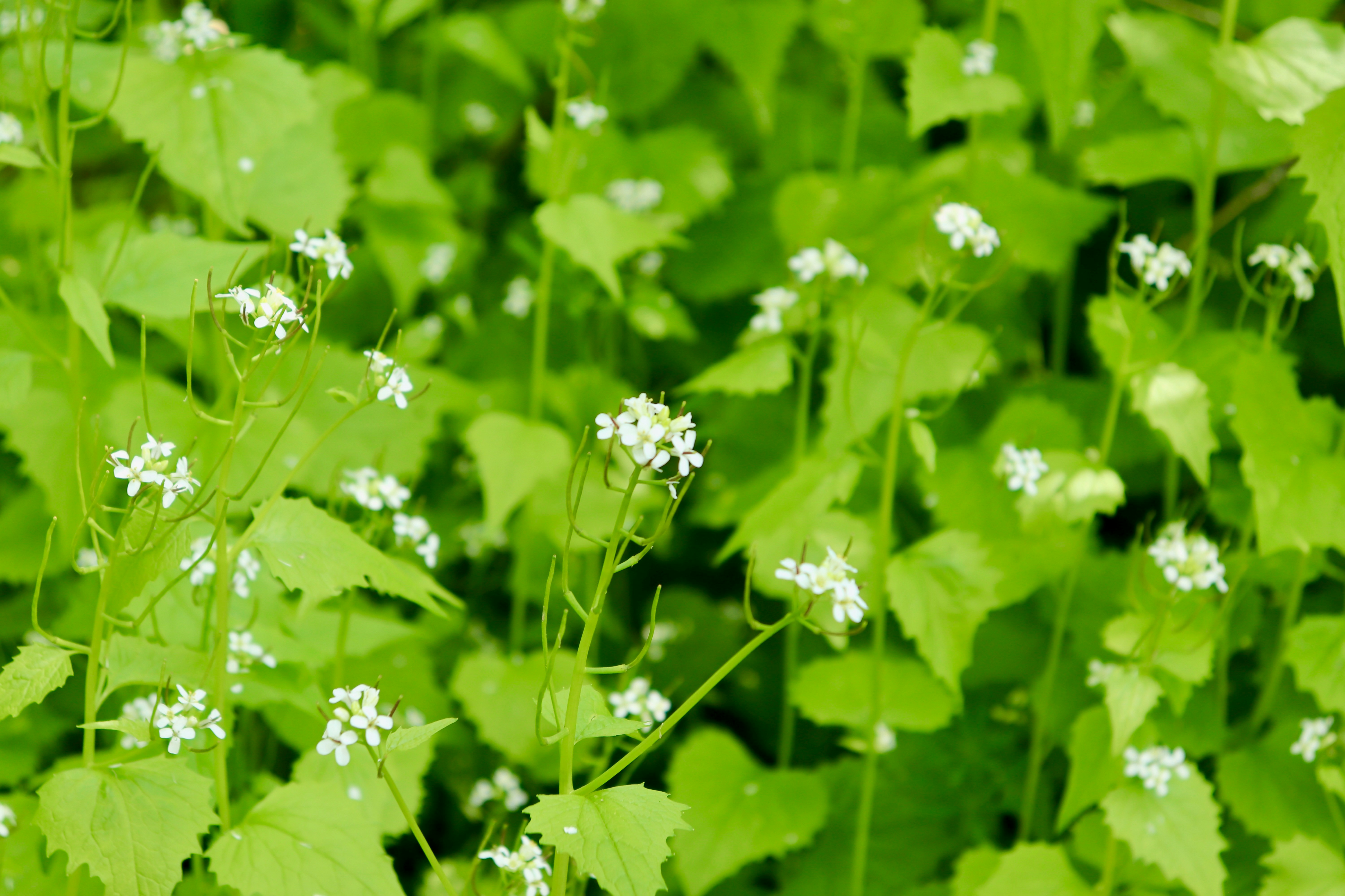 Photo by beyond_thehorizons