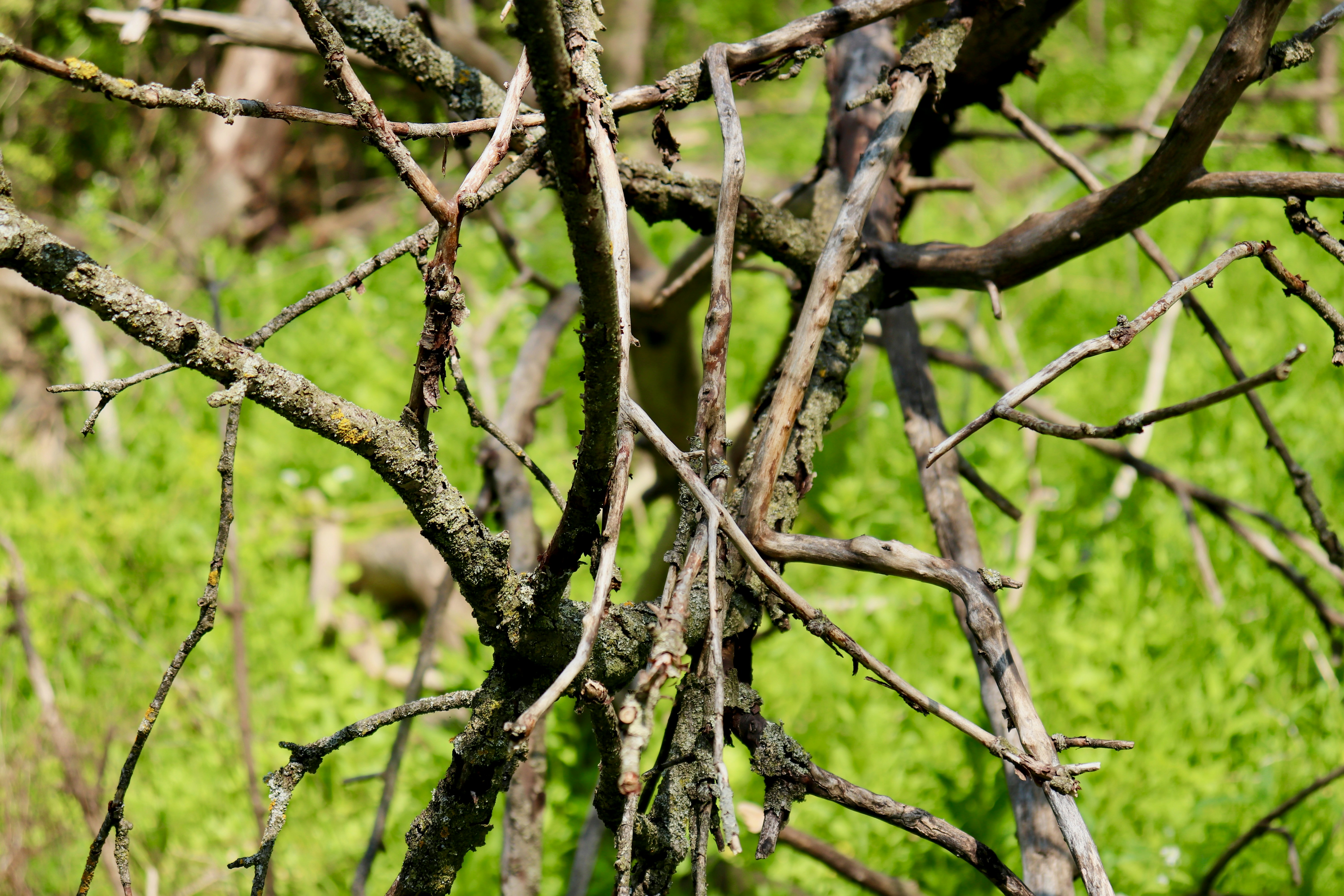 Photo by beyond_thehorizons