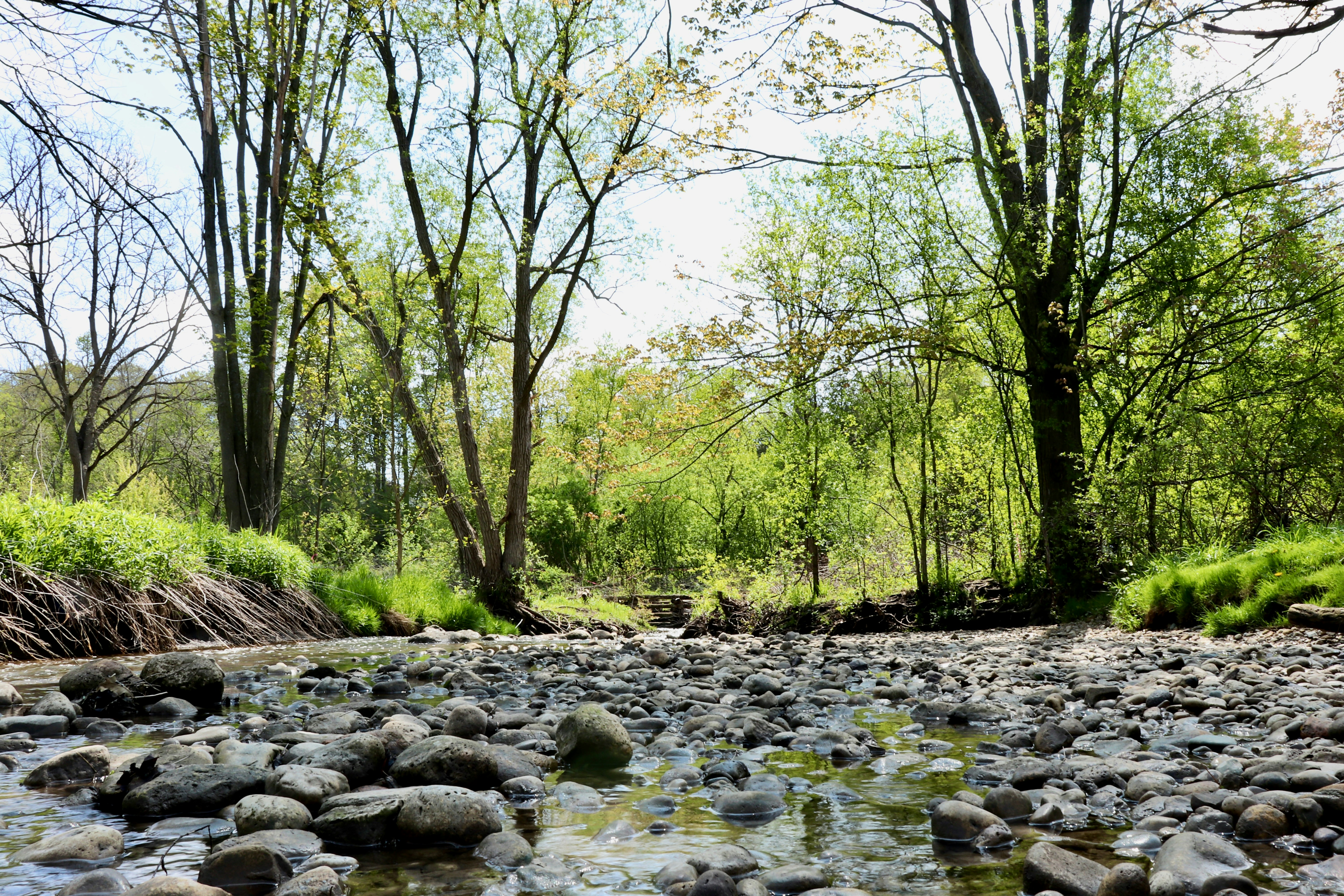 Photo by beyond_thehorizons