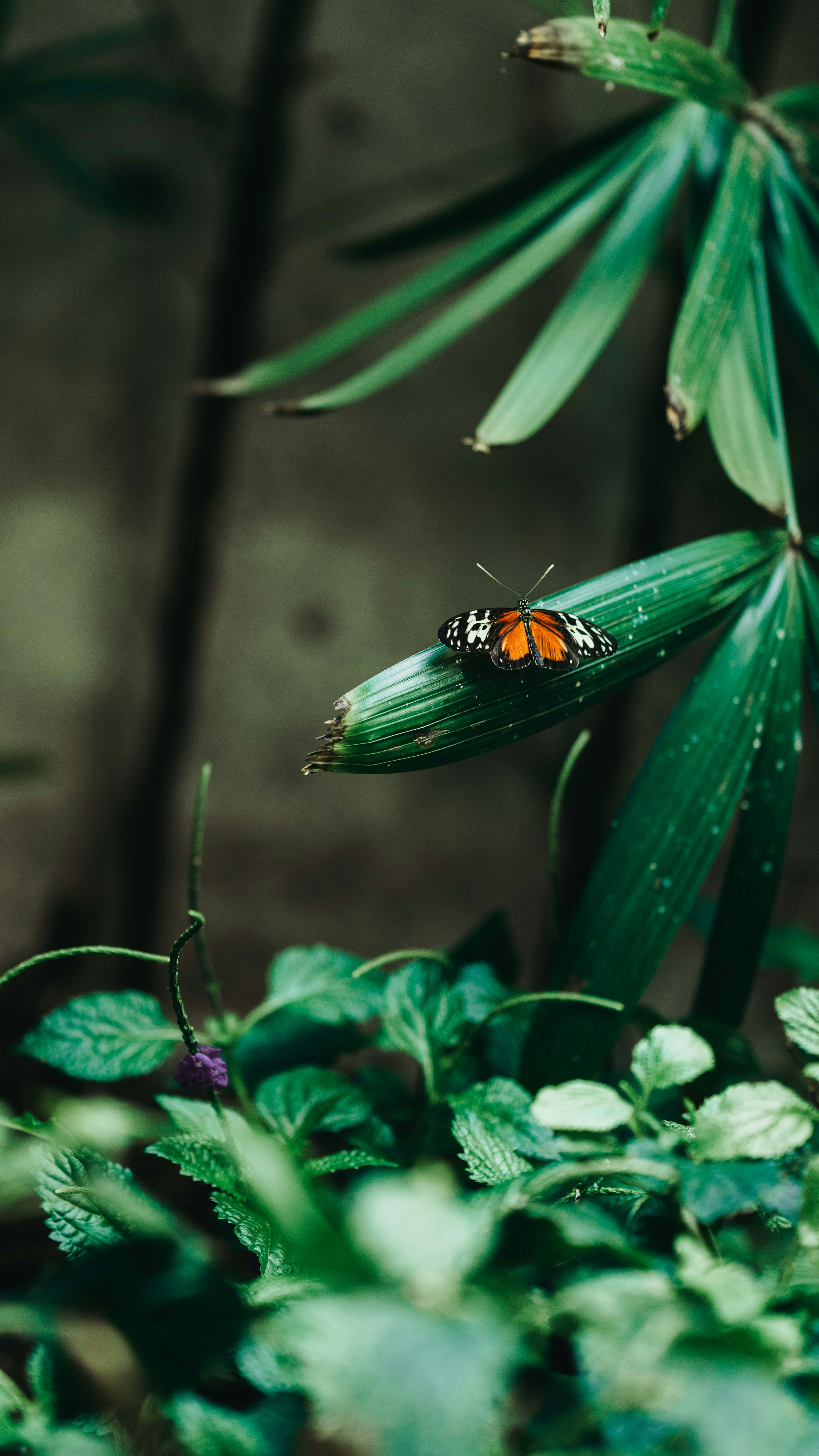 Photo by andreportolesi