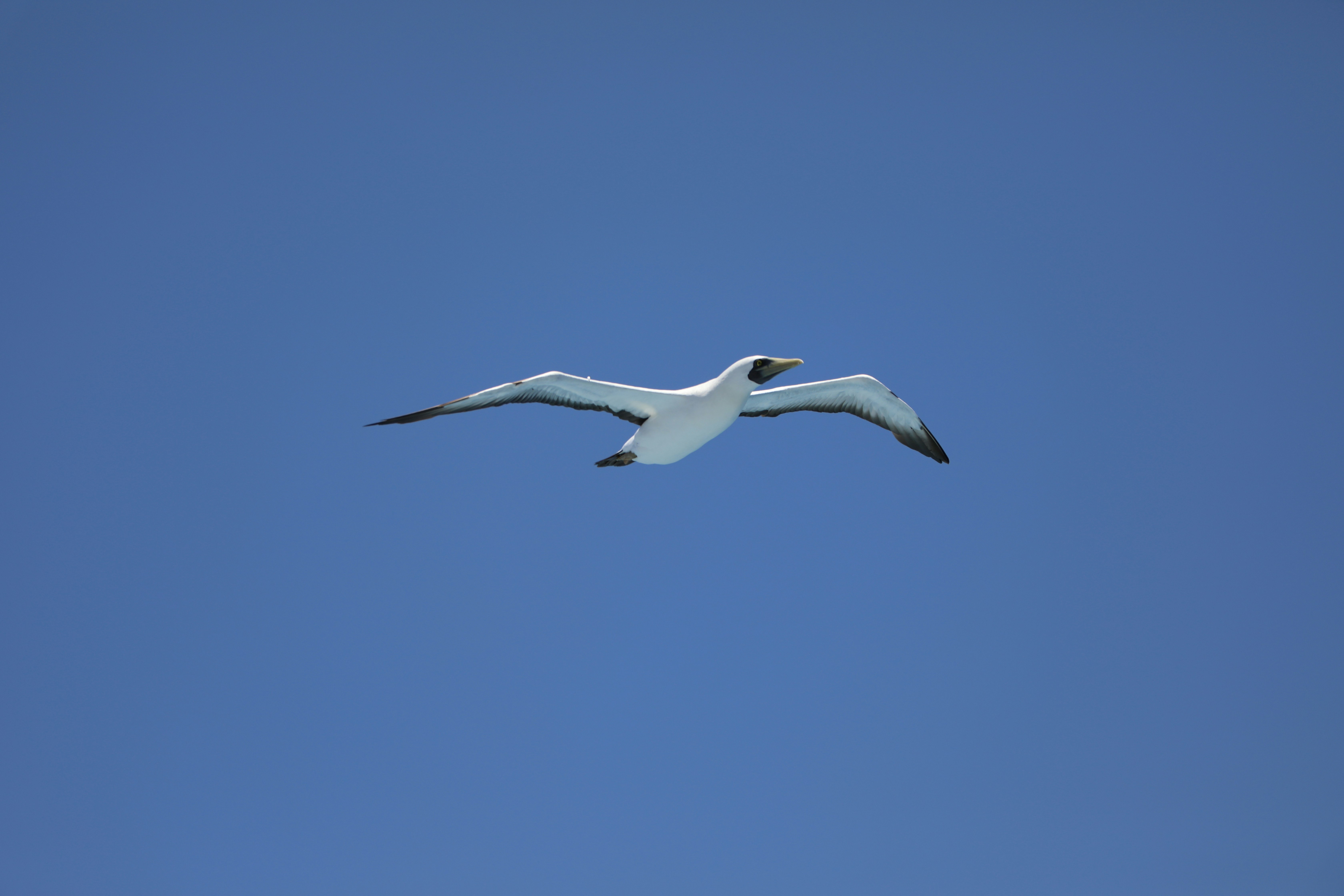 Photo by marcusdallcol