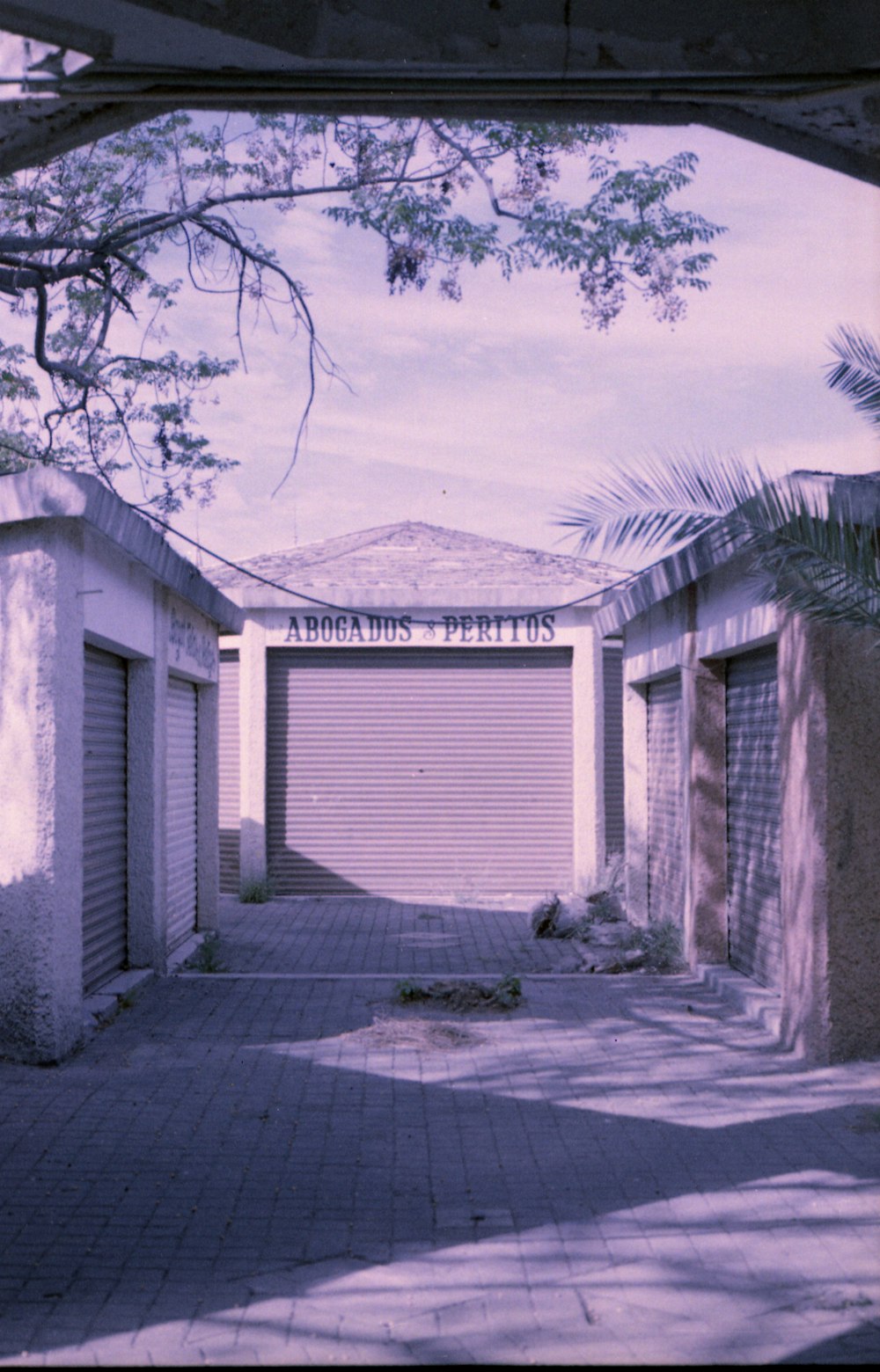 a street with a garage and palm trees