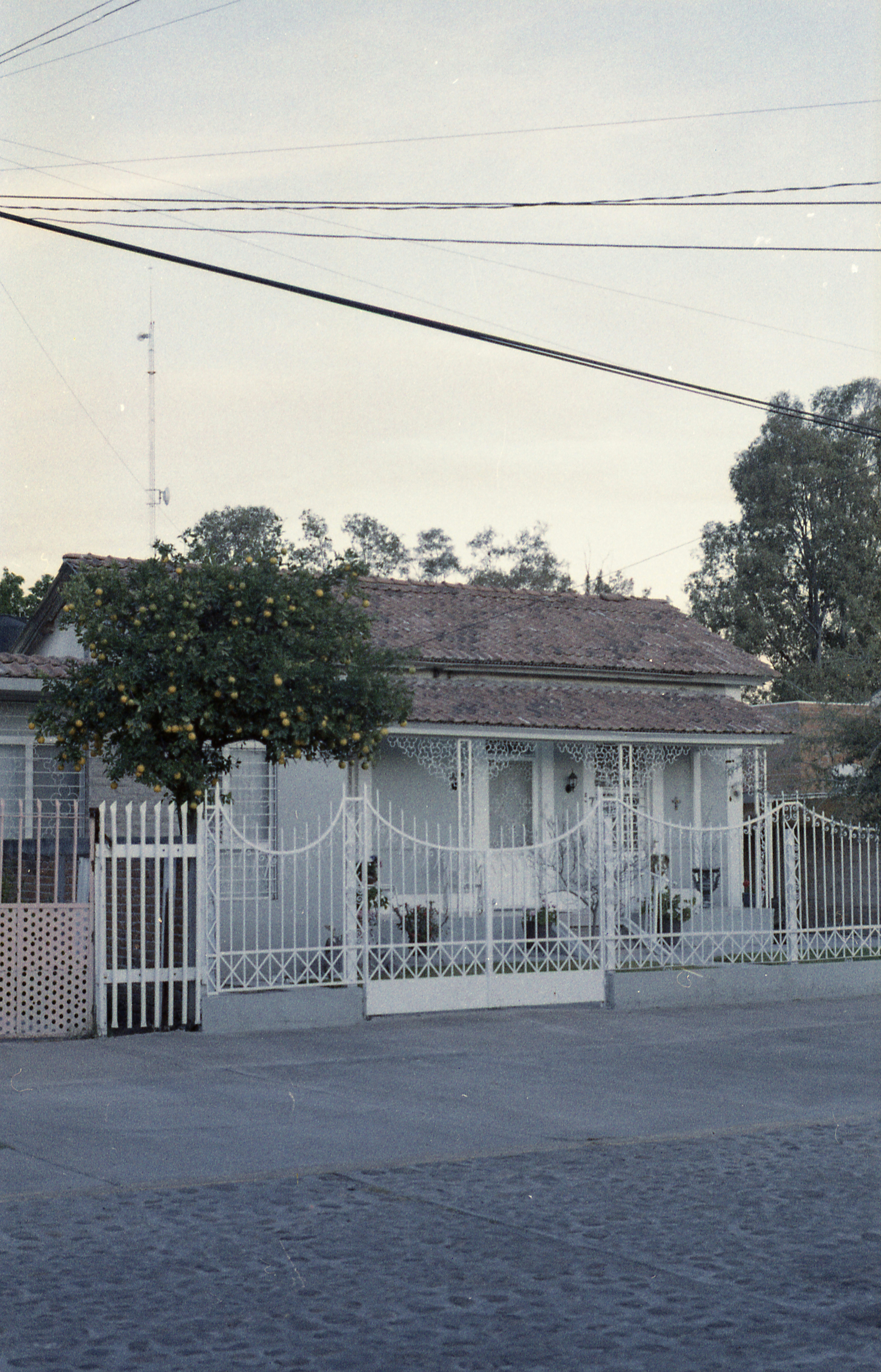 Photo by alex_quezada