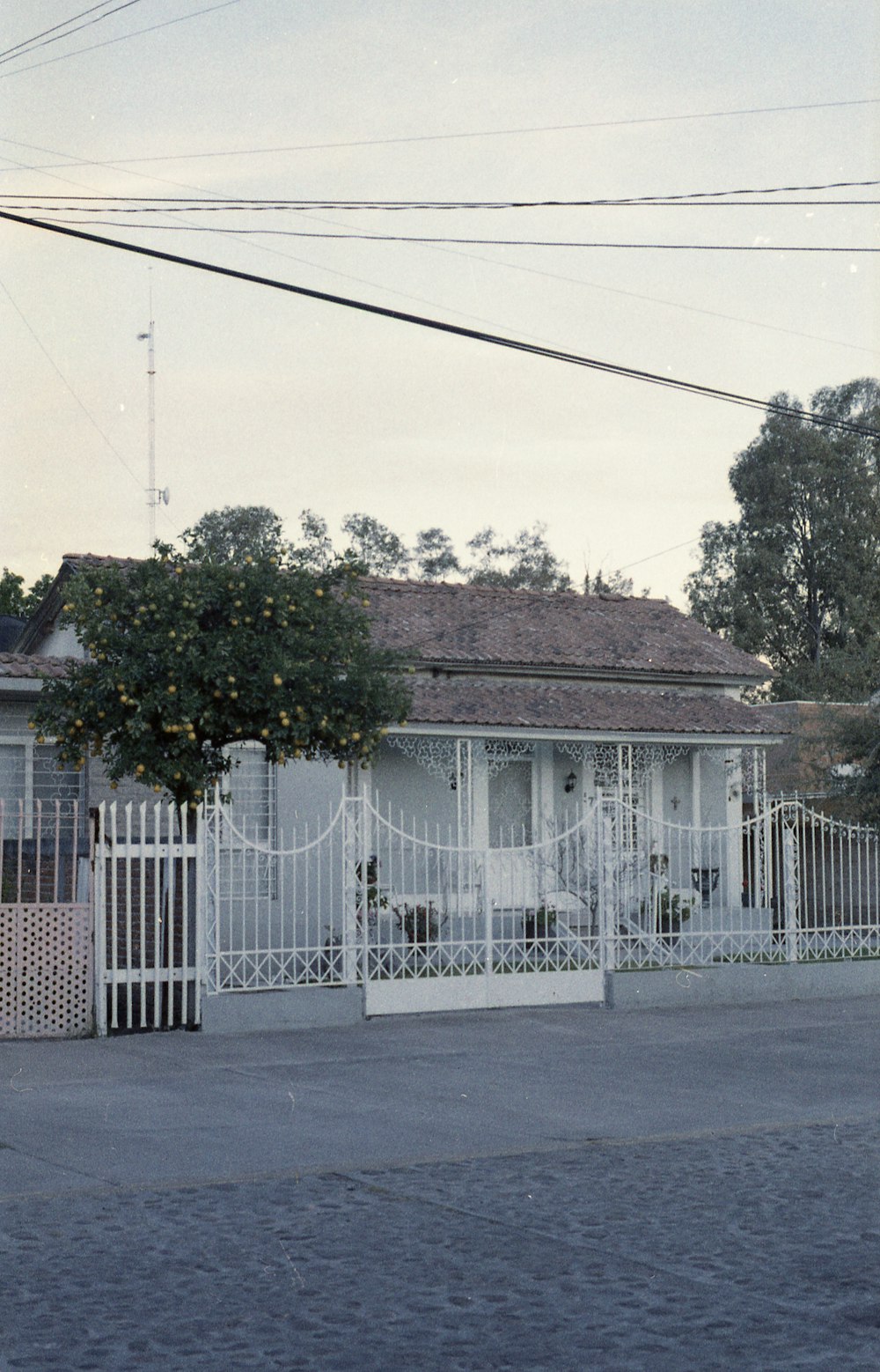 a white house with a white fence and a tree