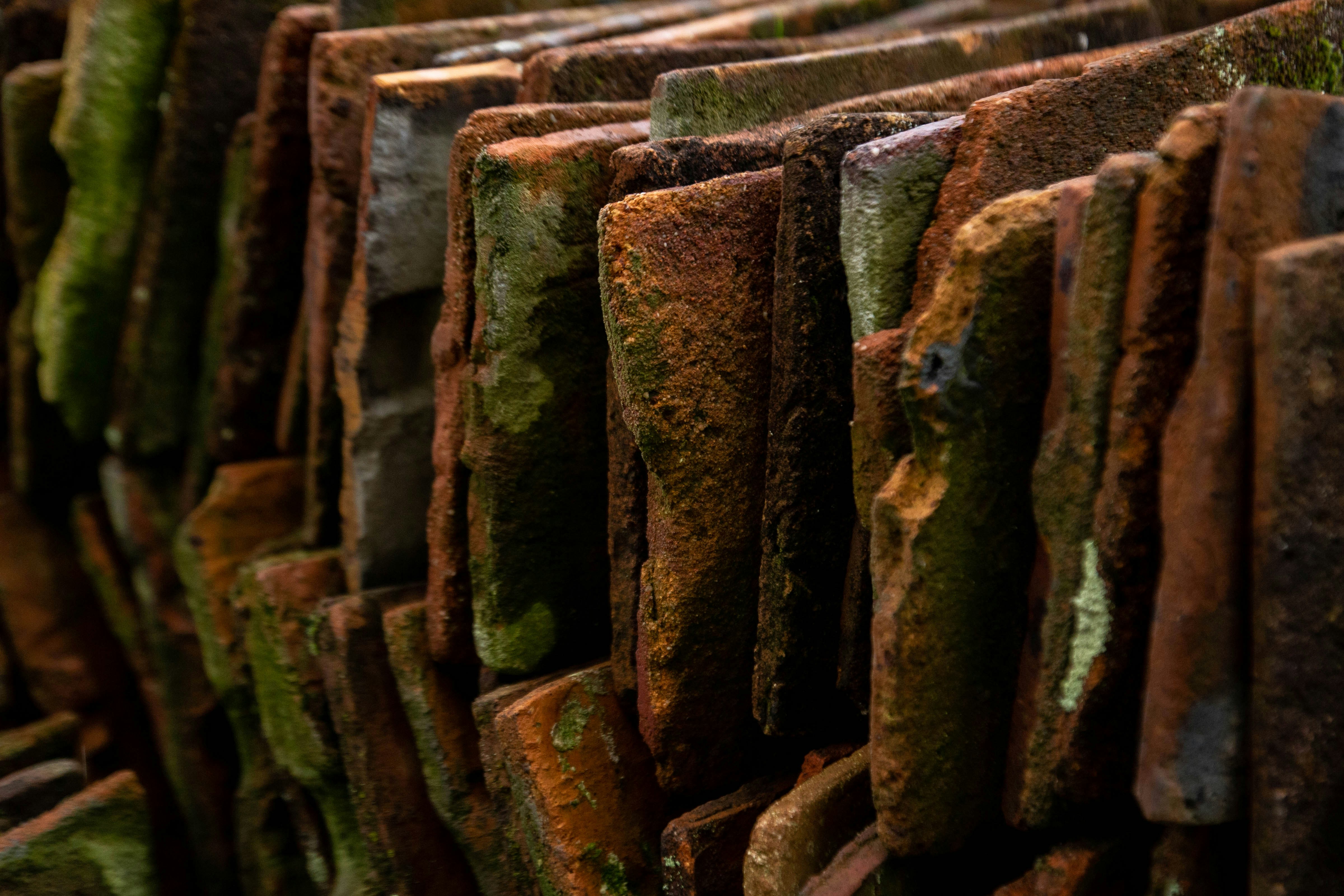 Broken Plates Pictures | Download Free Images on Unsplash