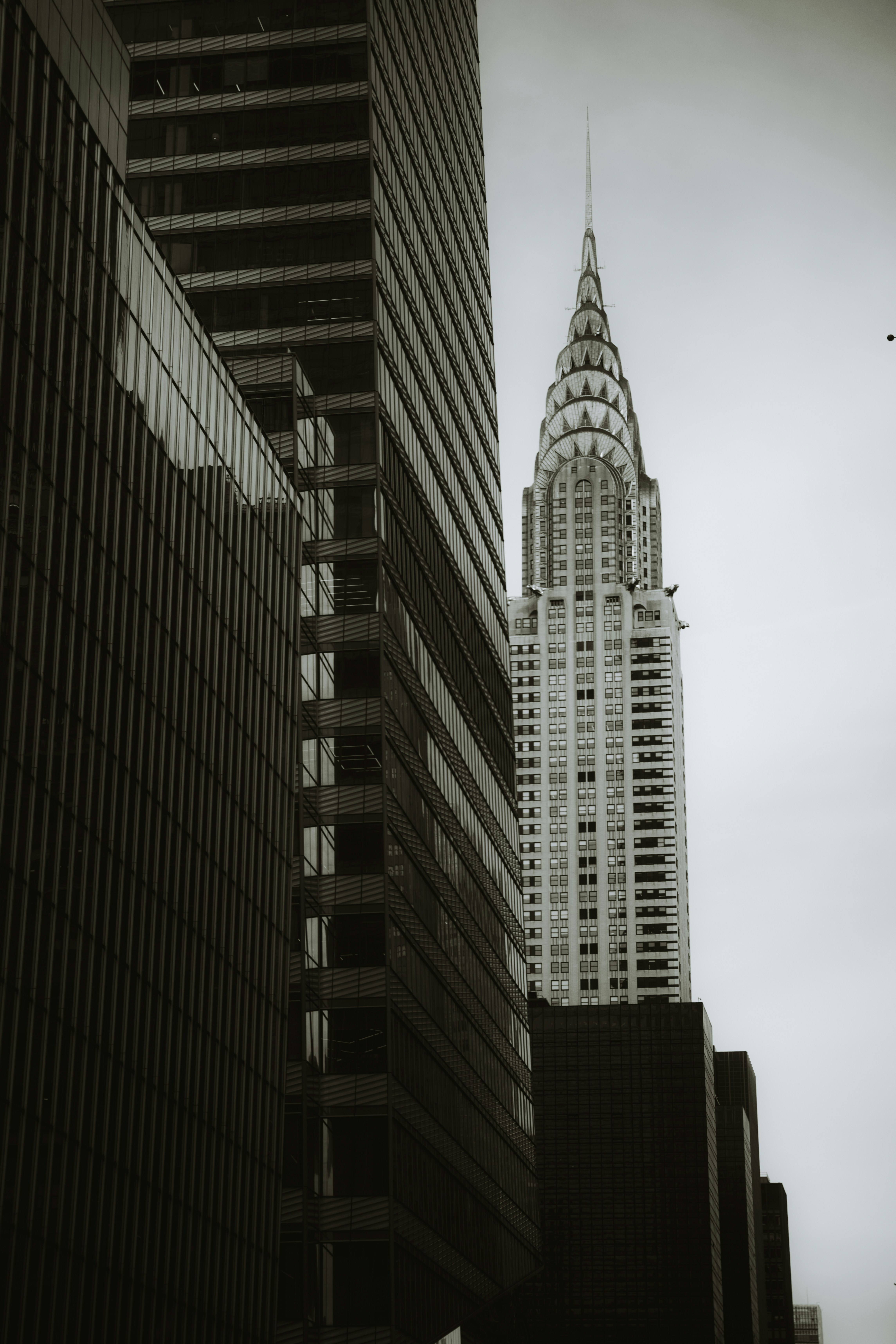 Photo by bylukemiller