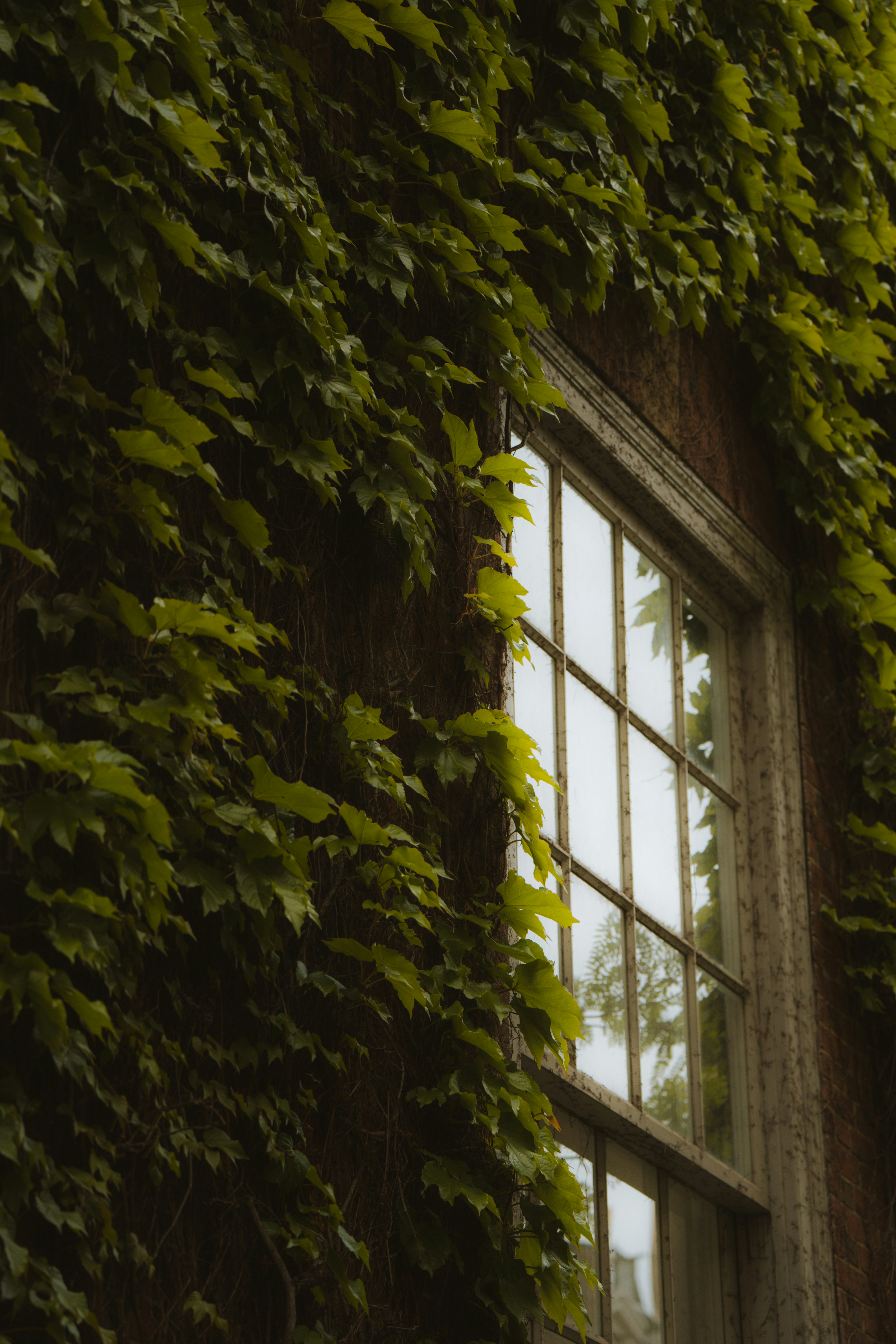 Photo by bylukemiller