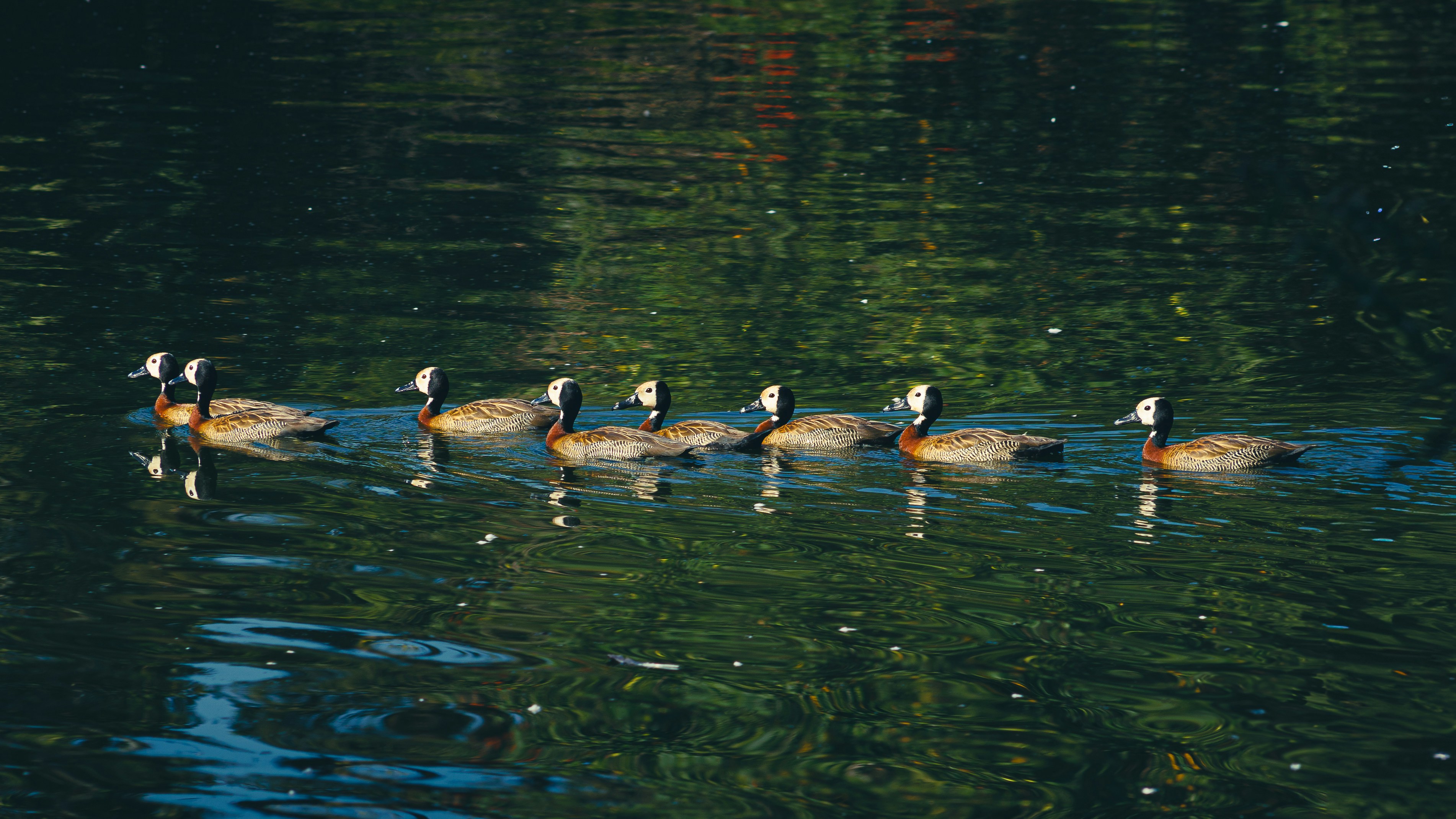 Angel Investors Hunt for Patterns, Not Pitches