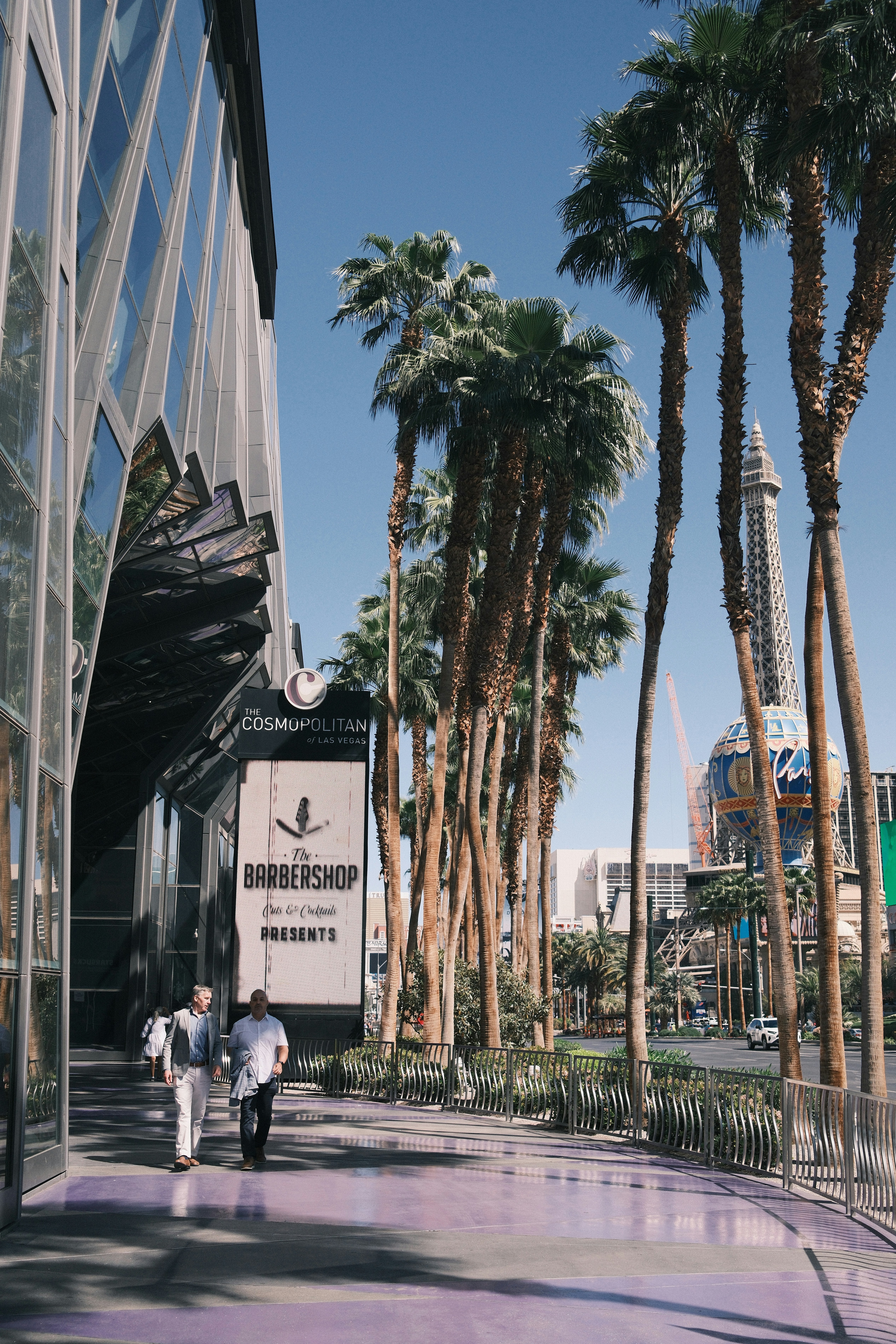 한 무리의 사람들이 야자수 옆 보도를 걷고 있다