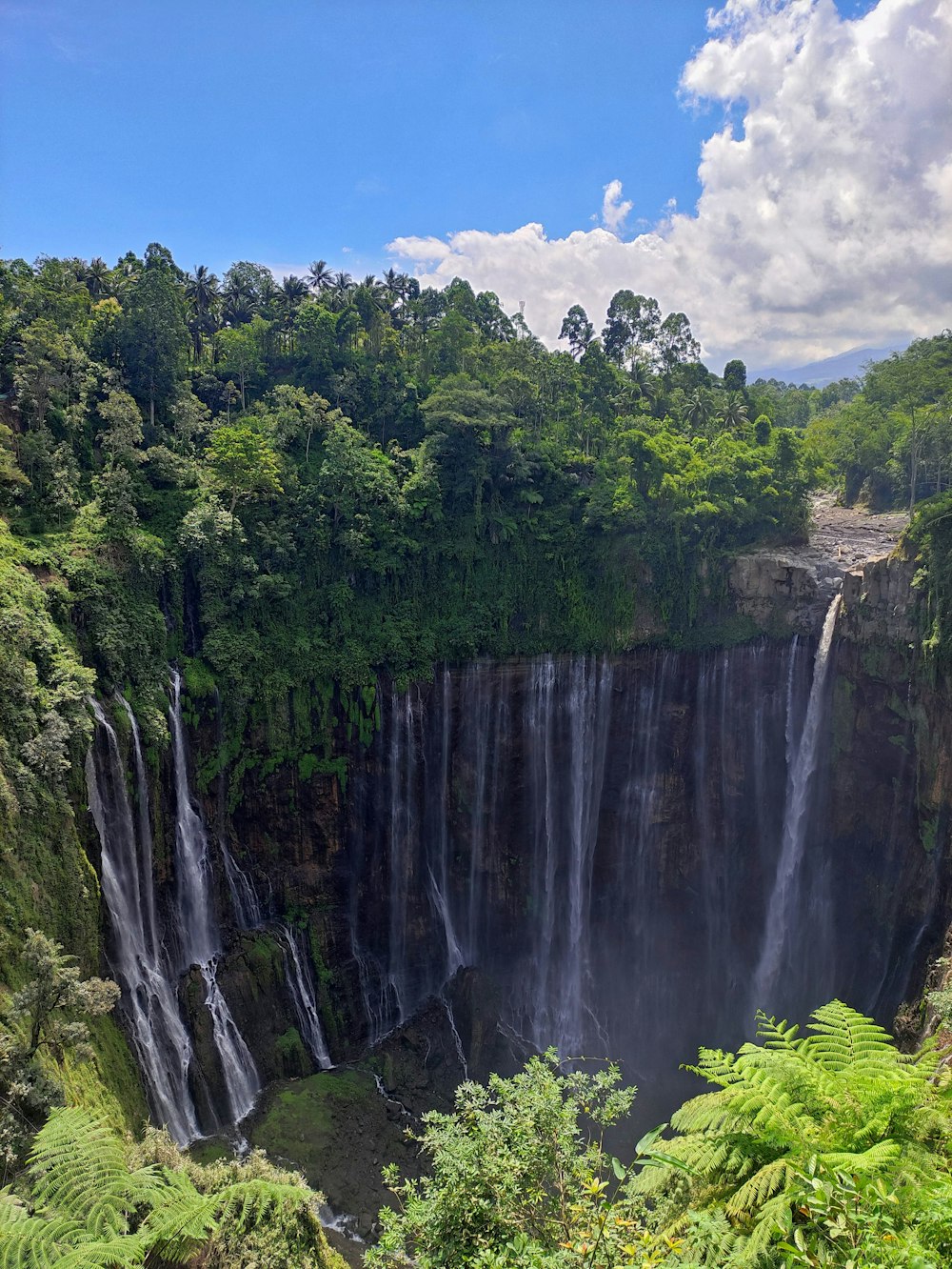 a large waterfall surrounded by lush green trees