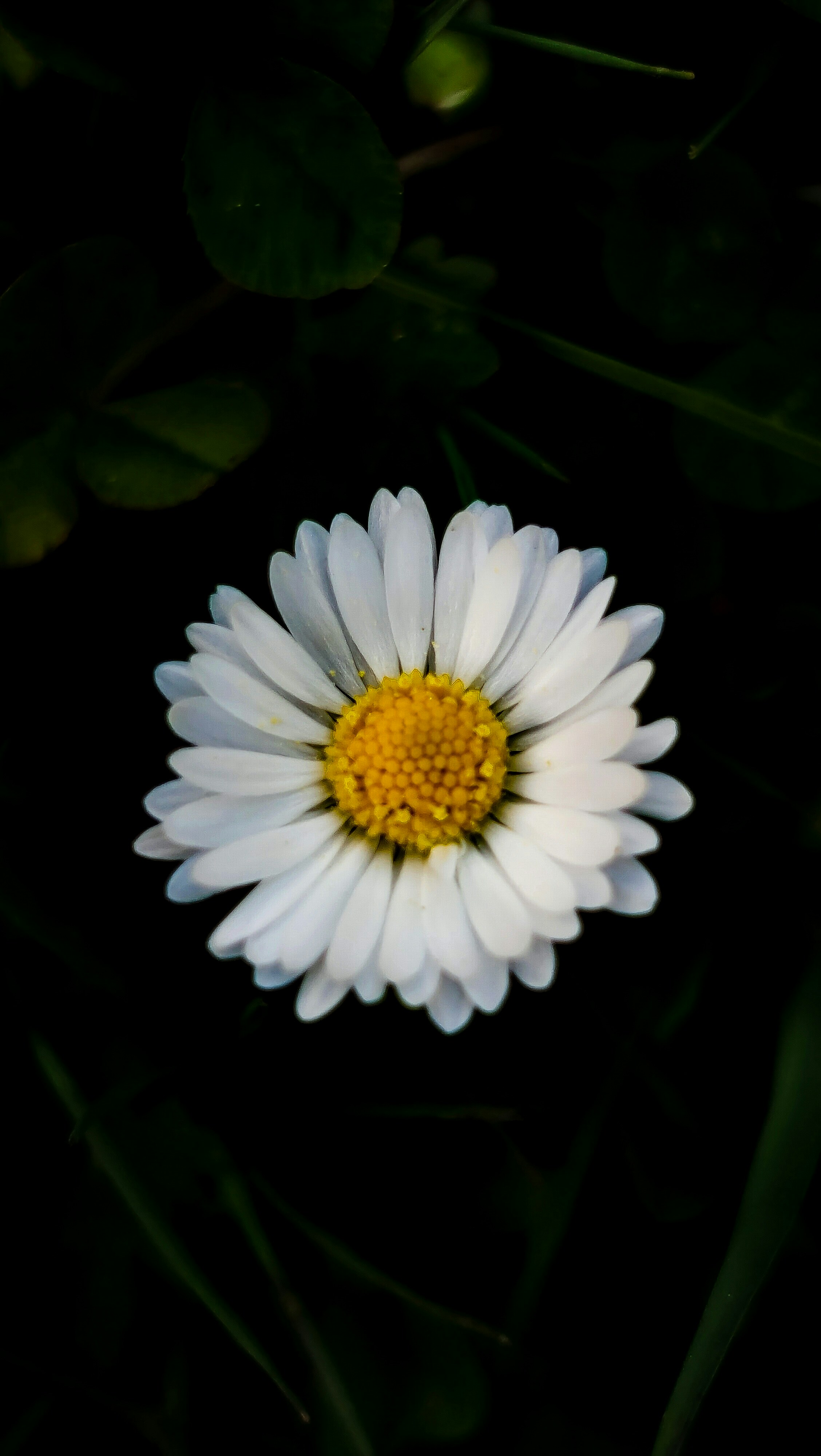 Photo by abhishekk50