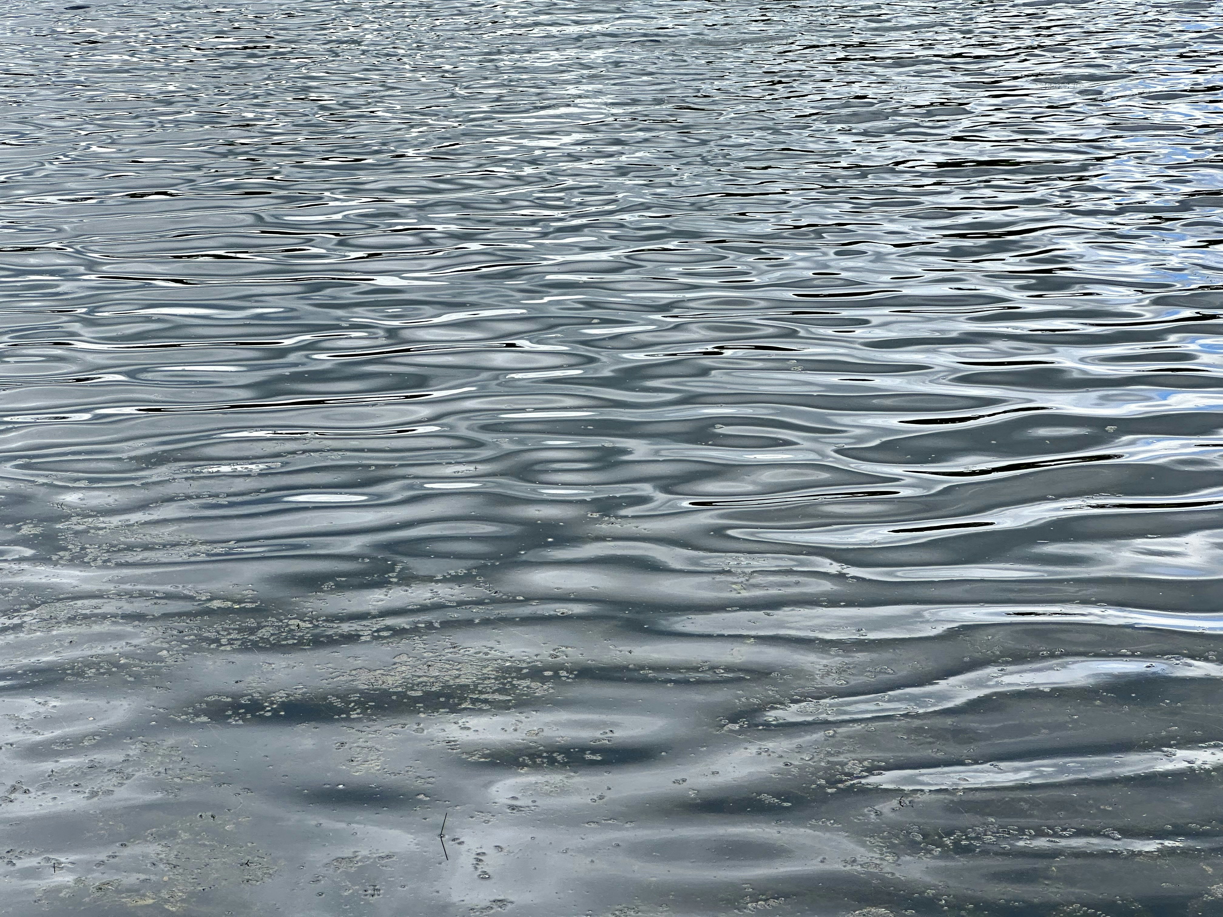 Photo by midkiffaries