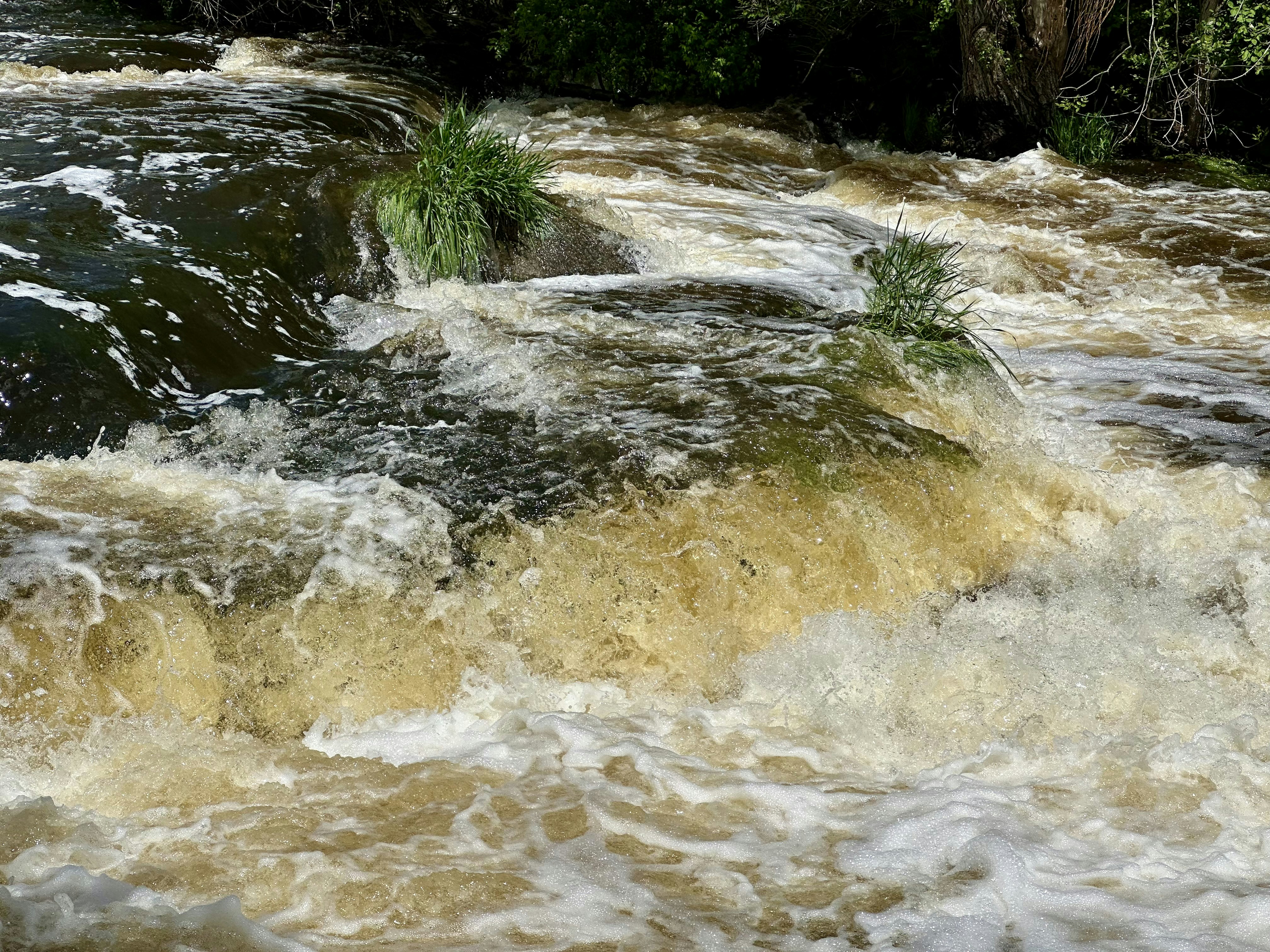 강 위에서 서핑 보드를 타는 남자