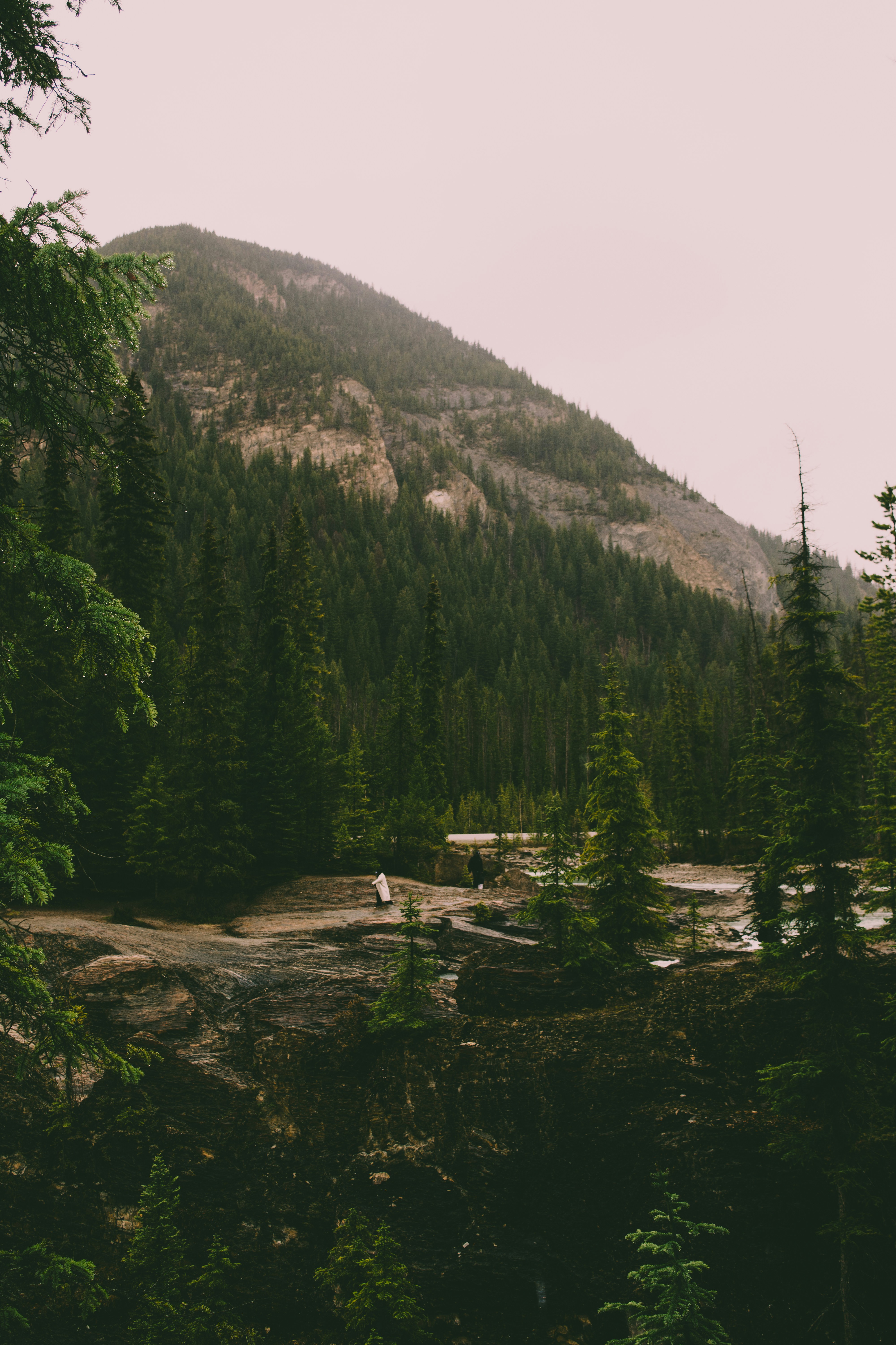 Photo by meglefebvre33