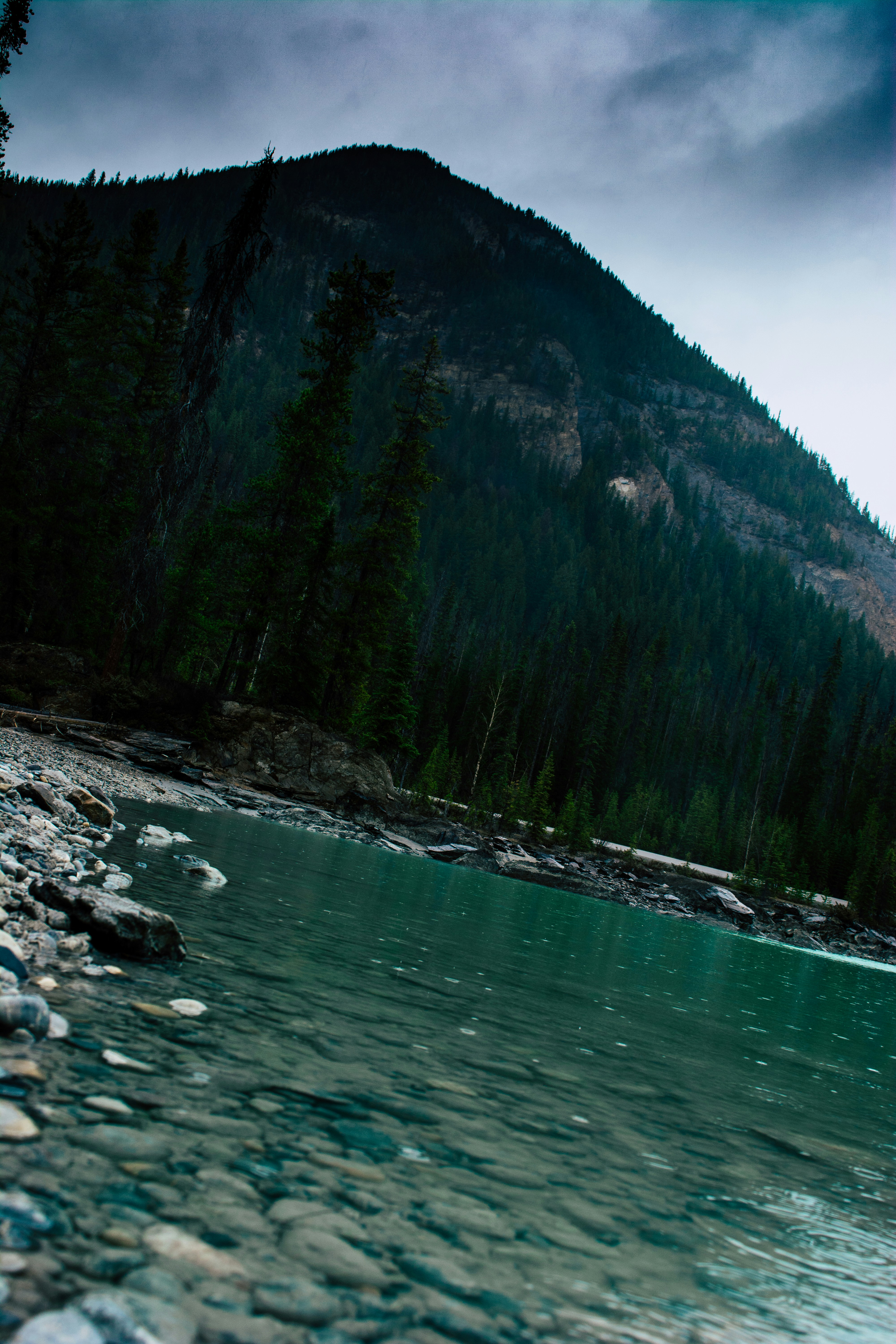 Photo by meglefebvre33