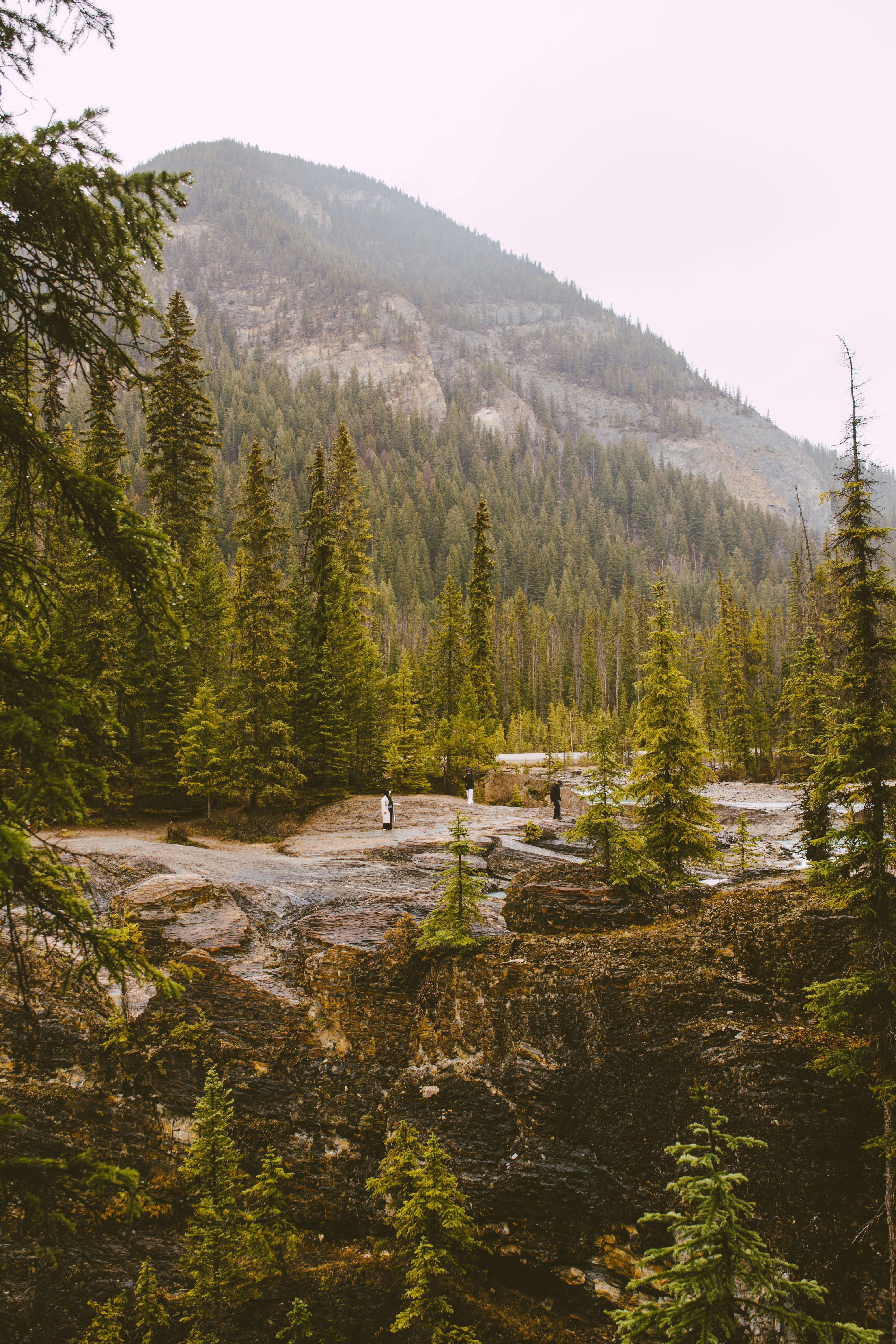 Photo by meglefebvre33