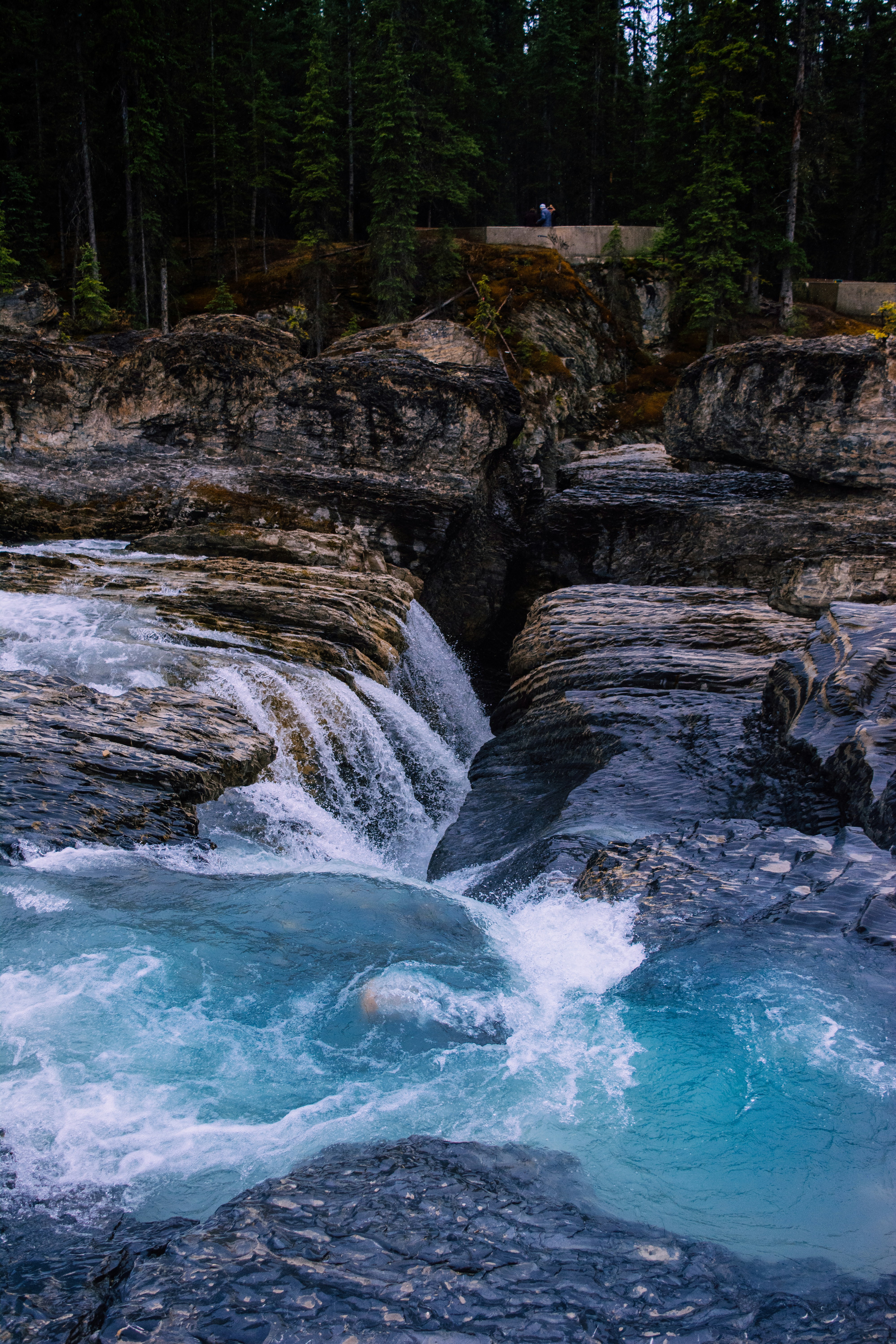 Photo by meglefebvre33