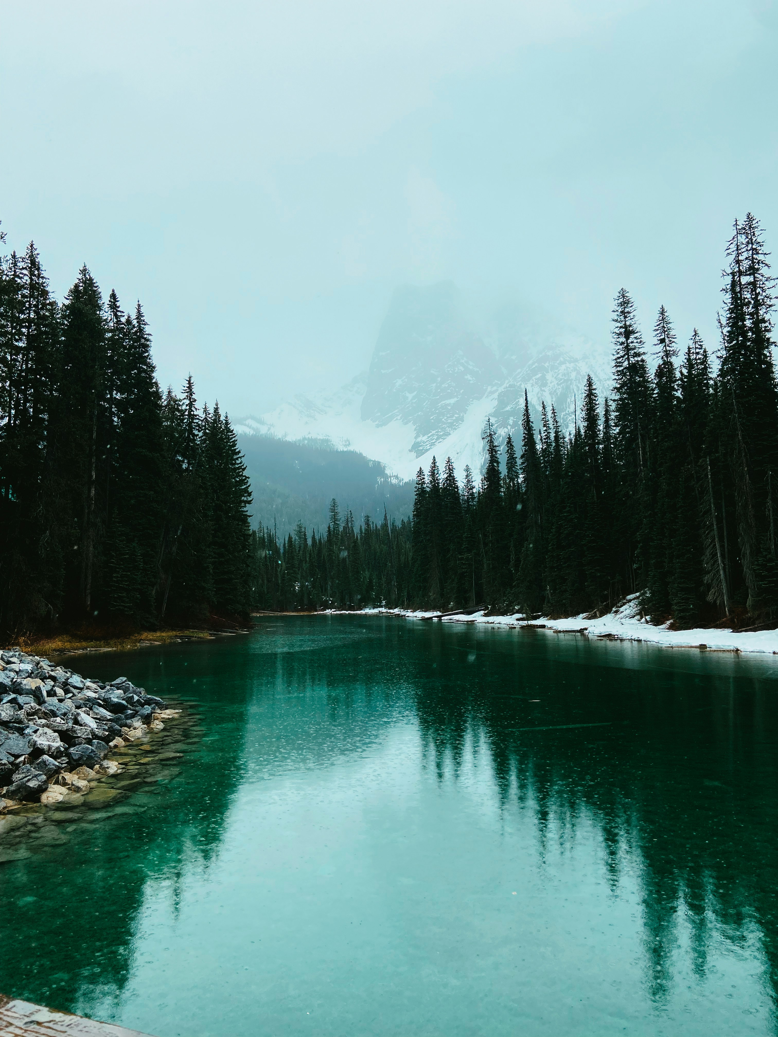 Photo by meglefebvre33