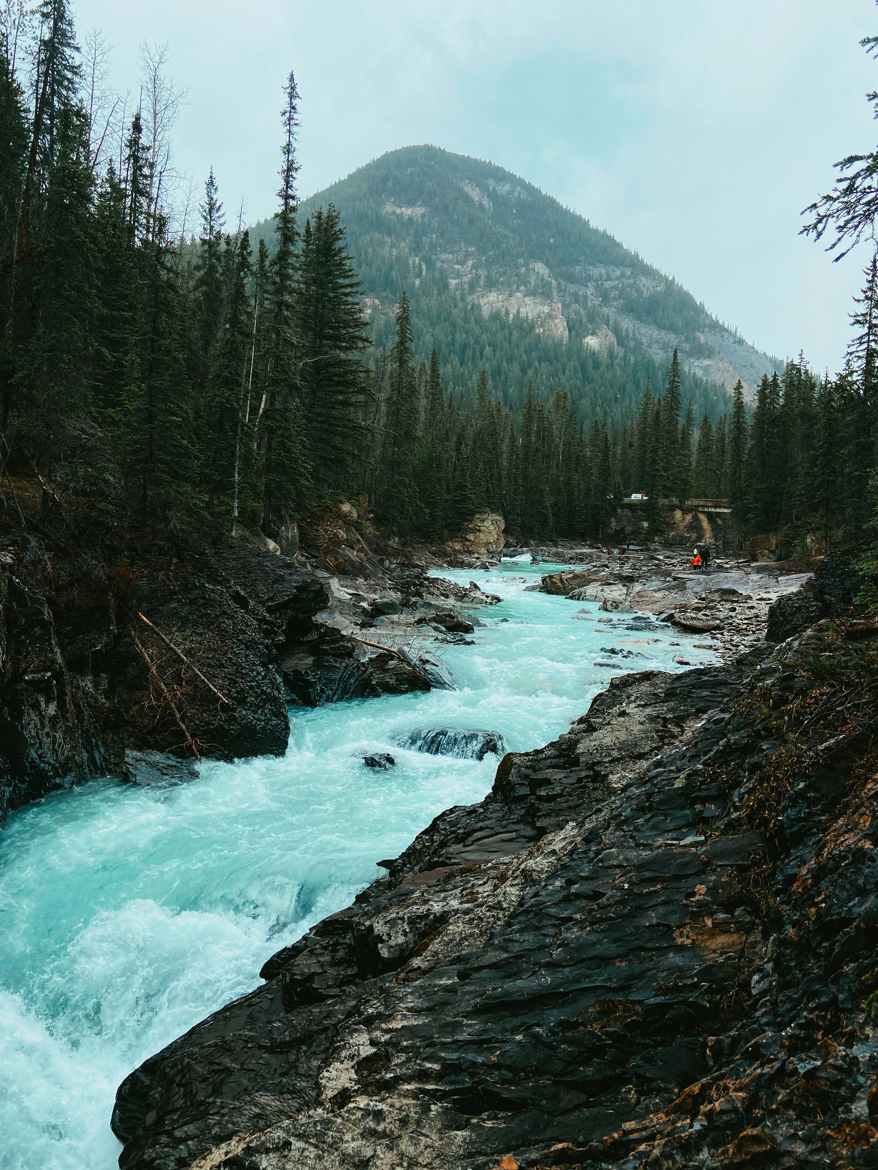 Photo by meglefebvre33