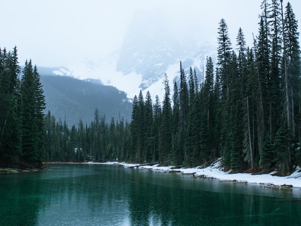 a lake surrounded by trees and snow covered mountains