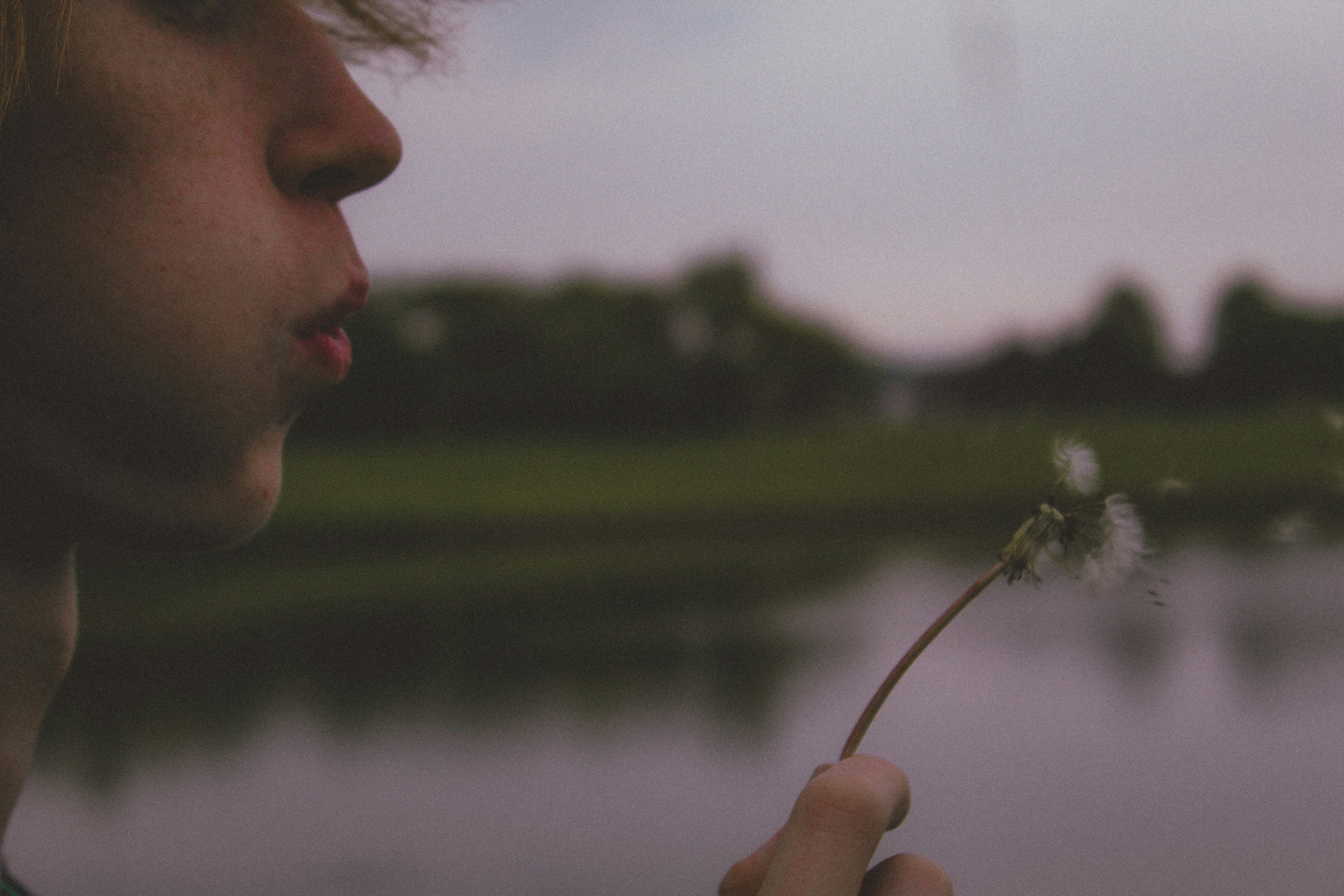 a person blowing a dandelion in front of a lake