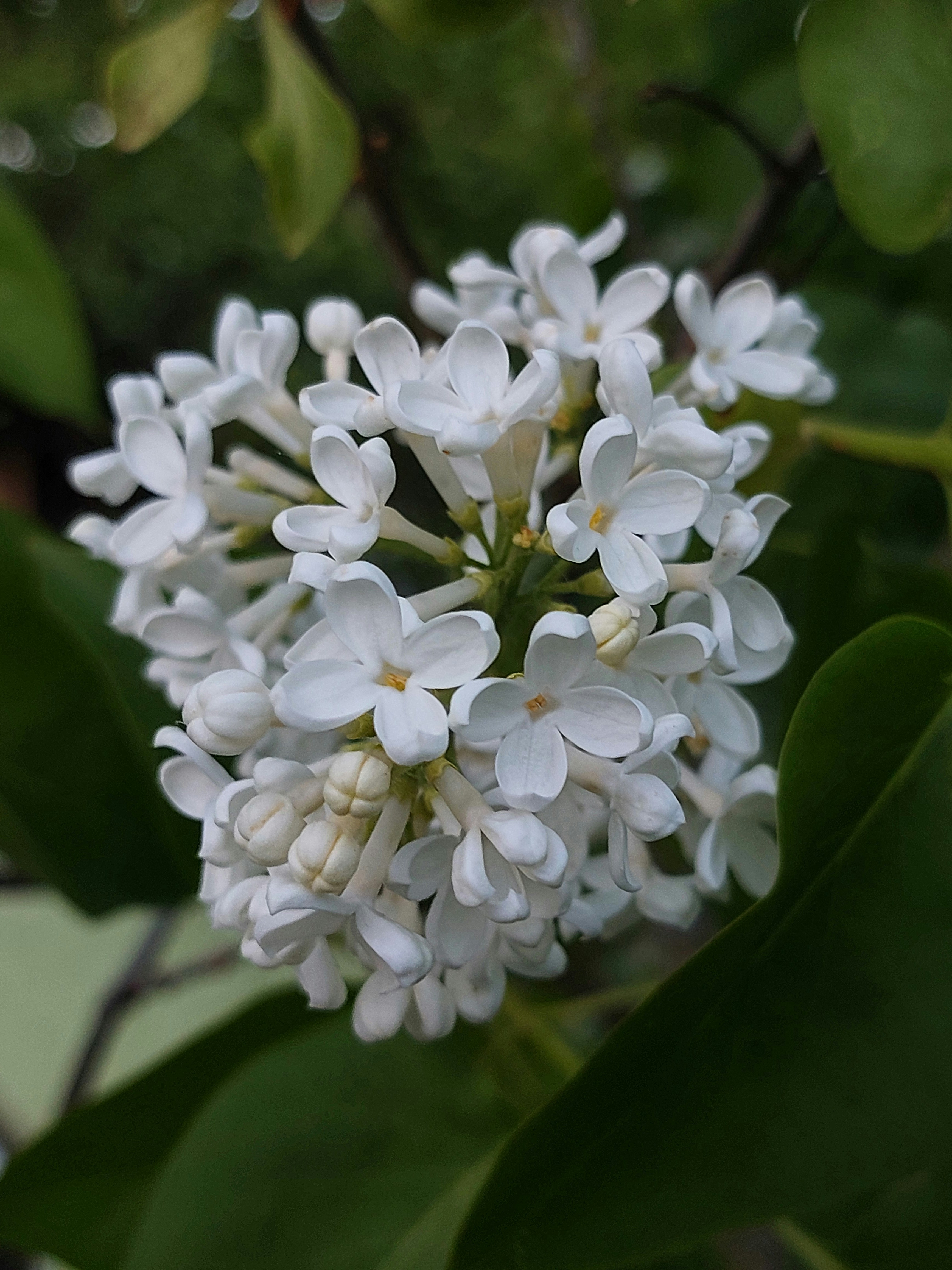 Photo by evgeni19922503