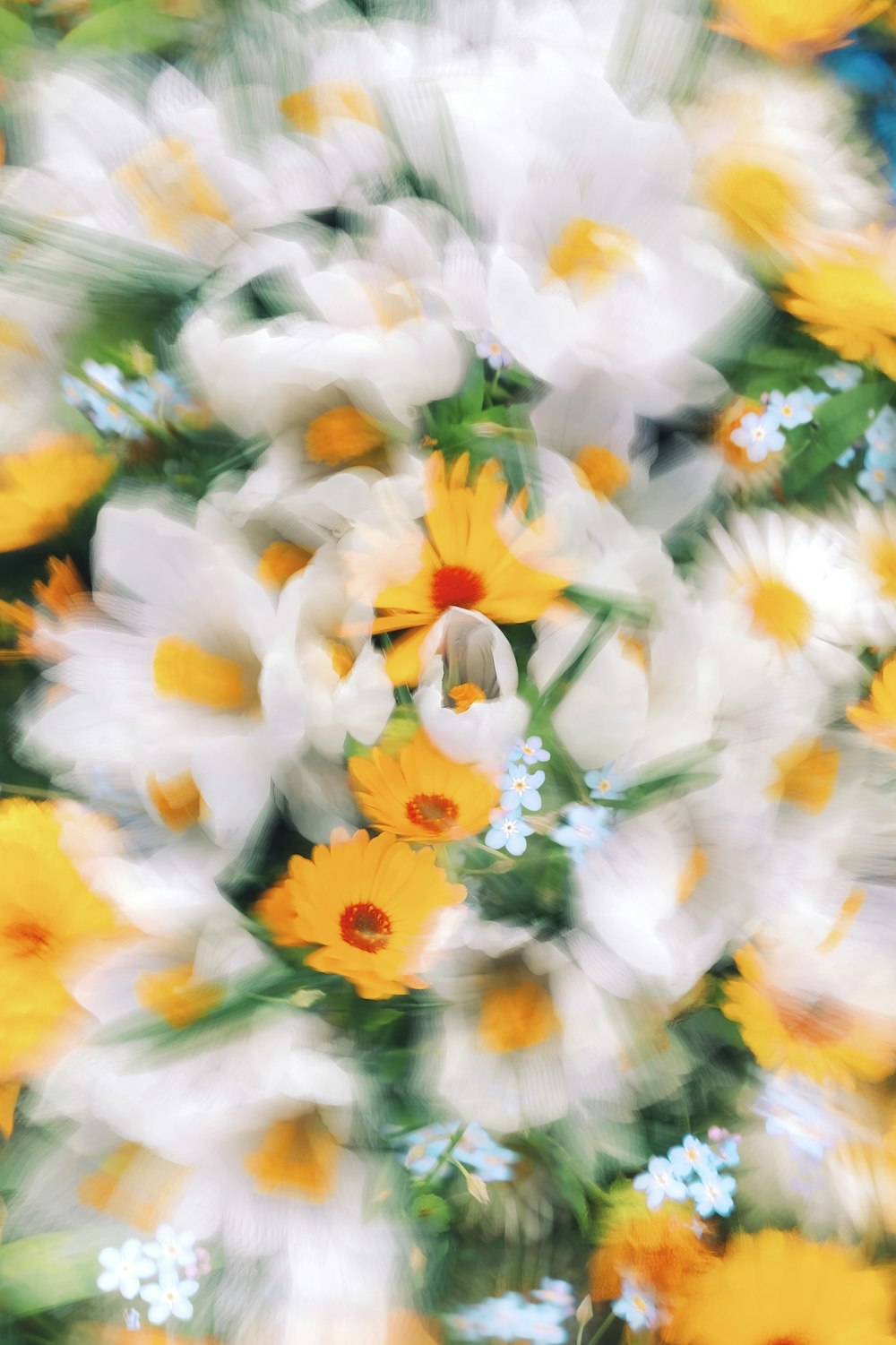 a bunch of white and yellow flowers in a vase