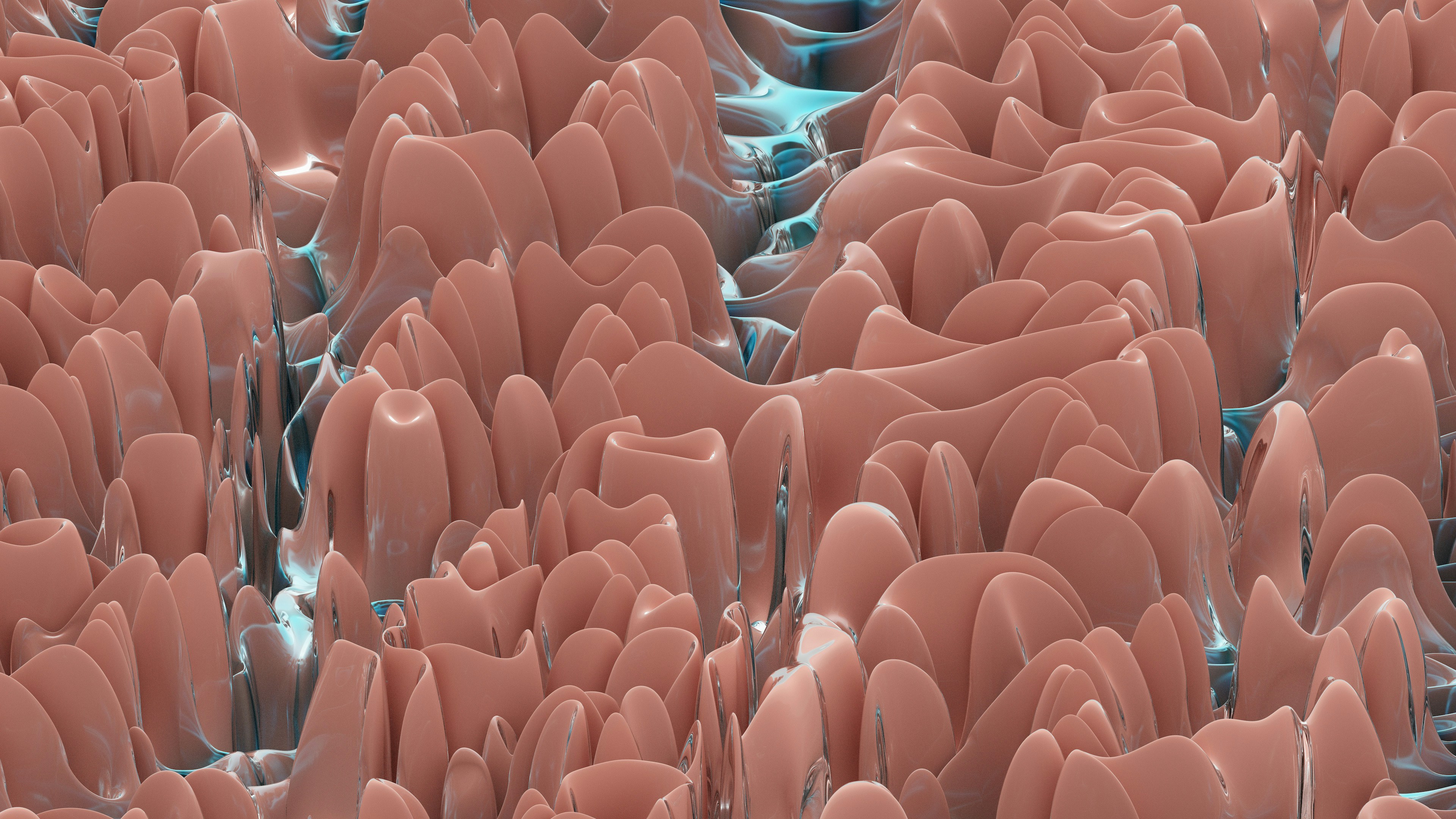 Photo by rick_rothenberg