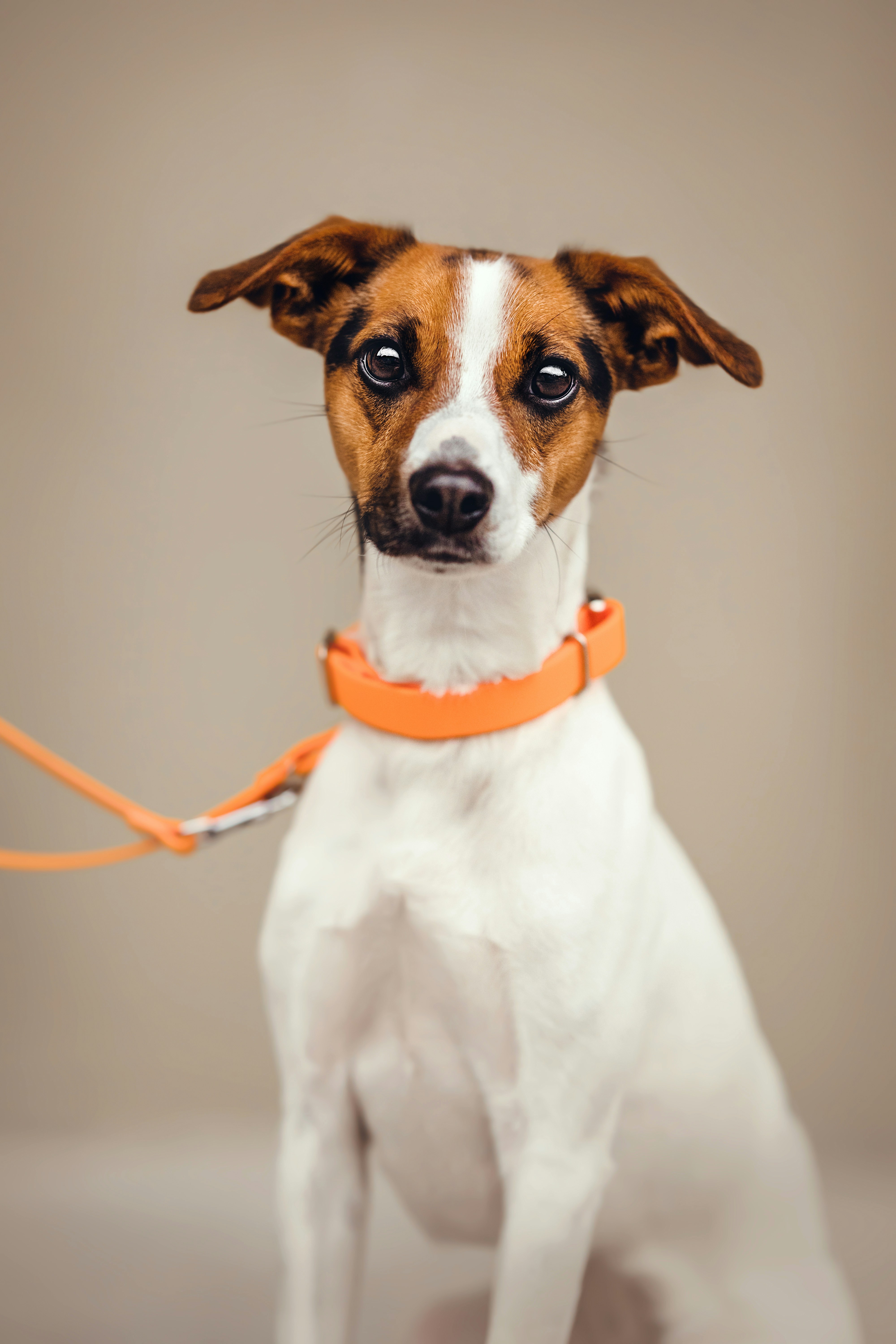 Photo by rebeccamueller