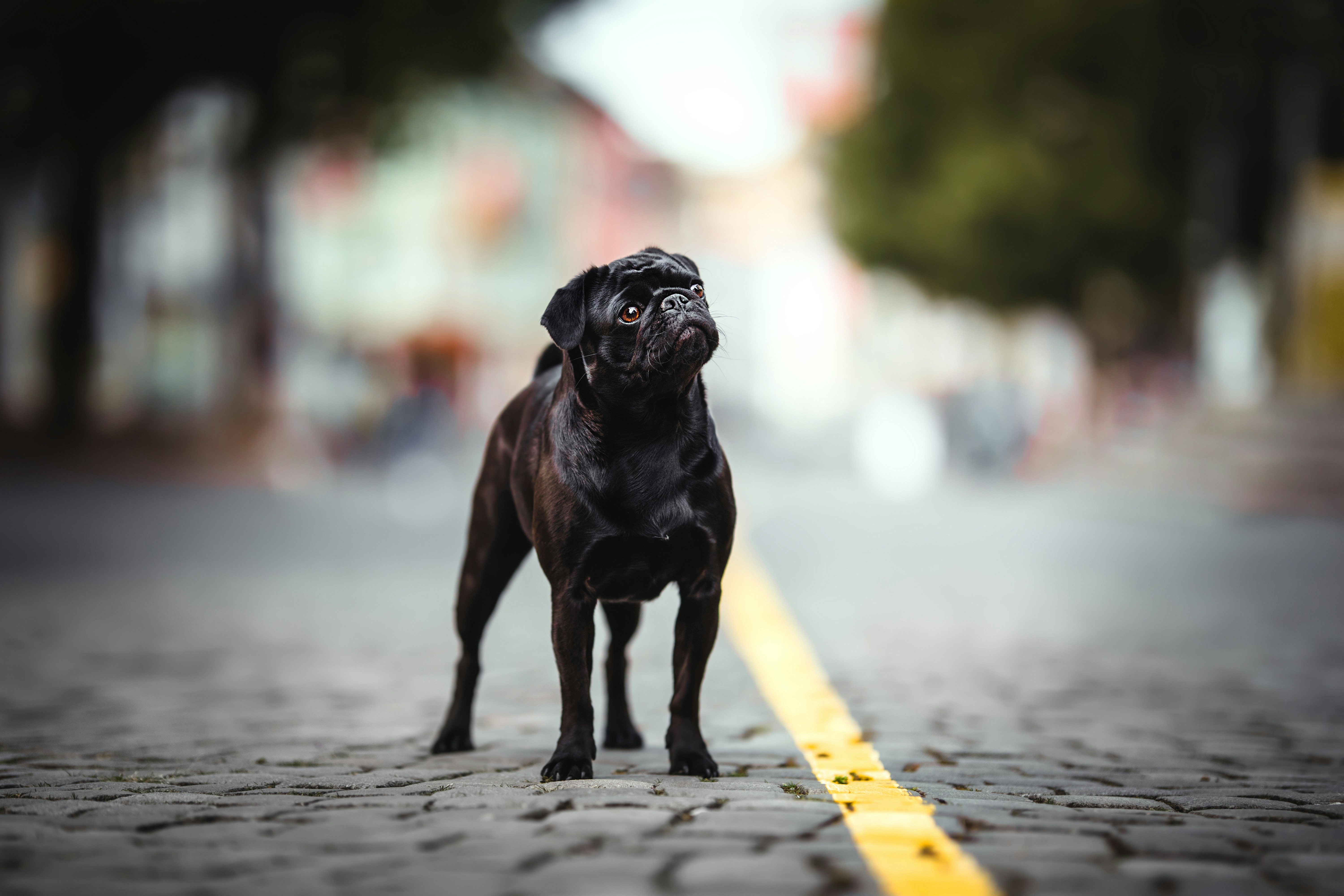 Photo by rebeccamueller