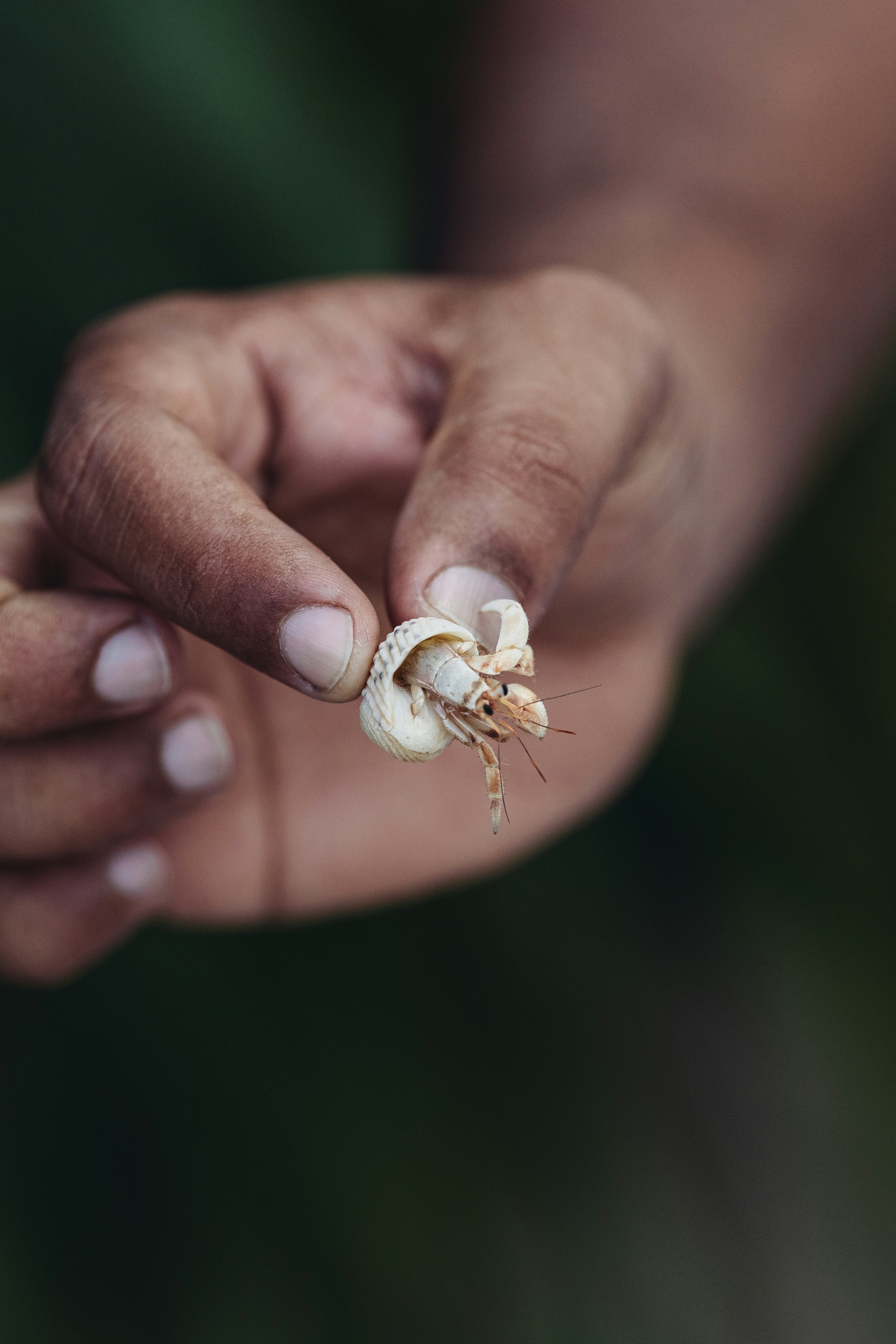 Photo by shaffuscanvas