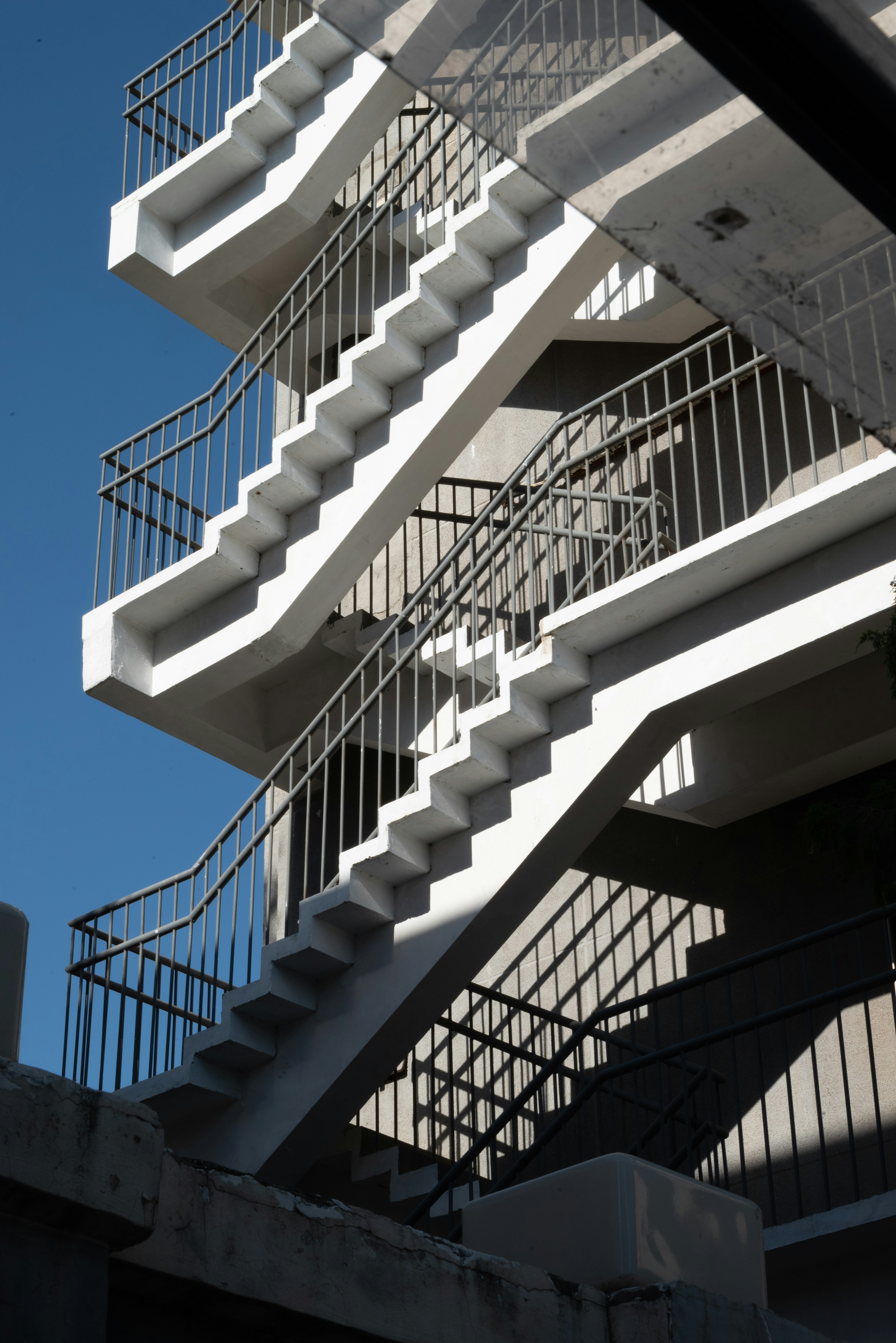 Photo by nikol_royce