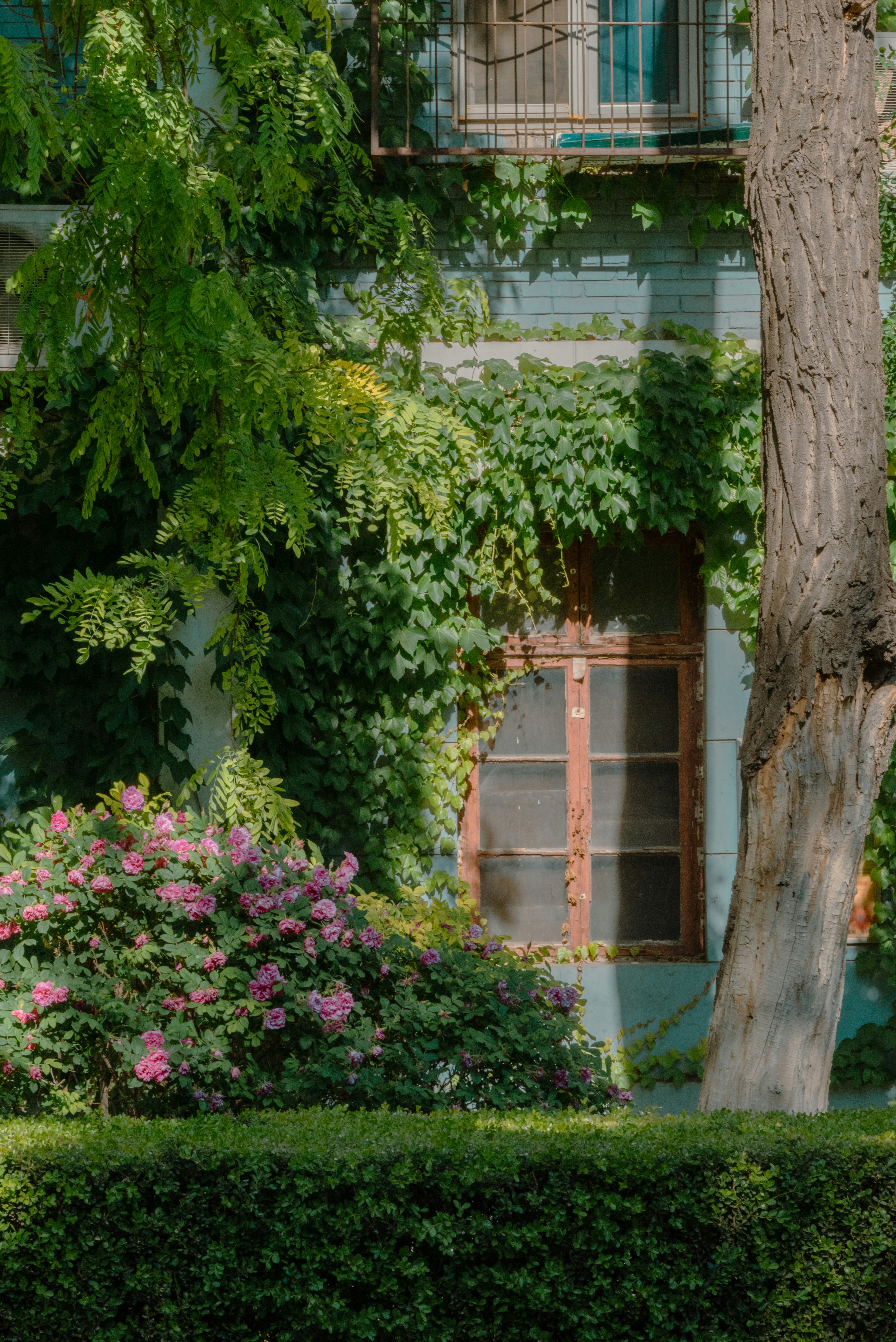 Photo by nikol_royce